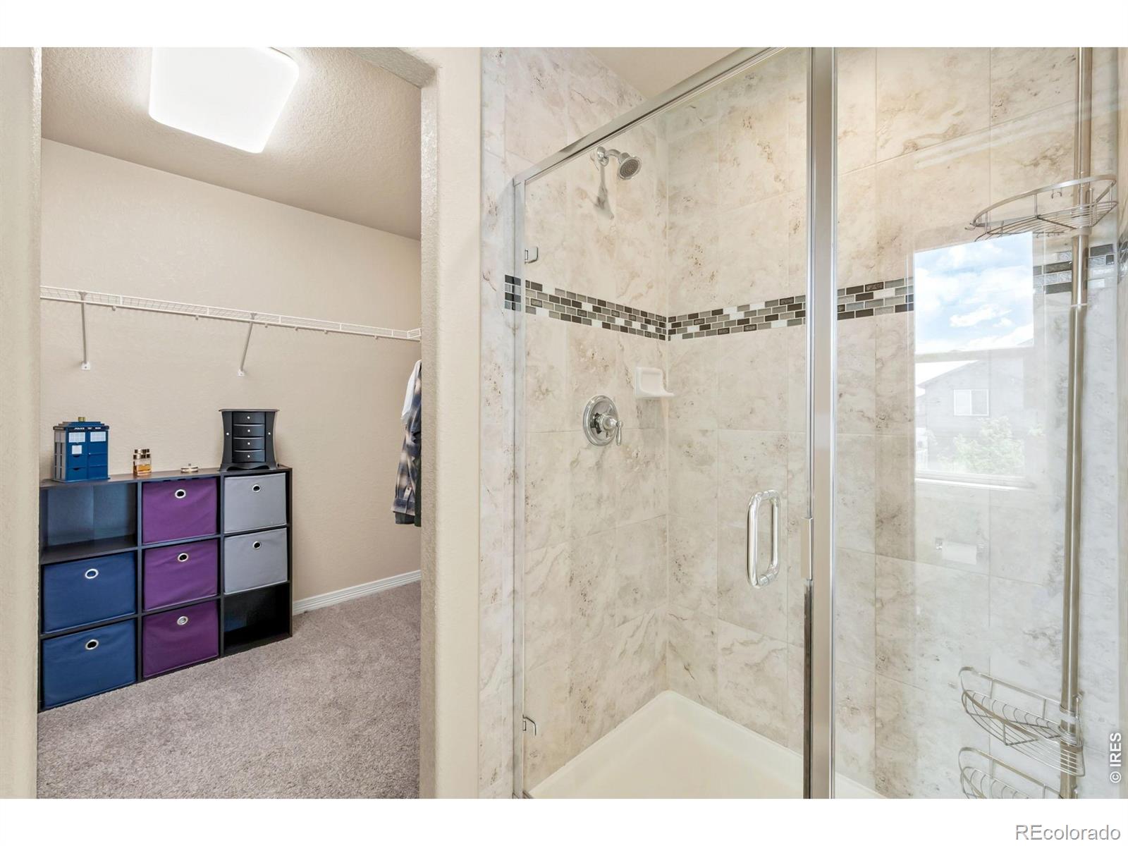 MLS Image #23 for 5628  bexley drive,windsor, Colorado
