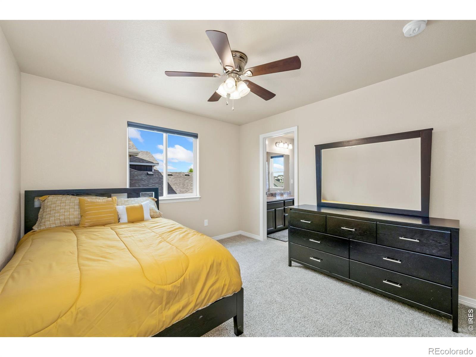 MLS Image #25 for 5628  bexley drive,windsor, Colorado
