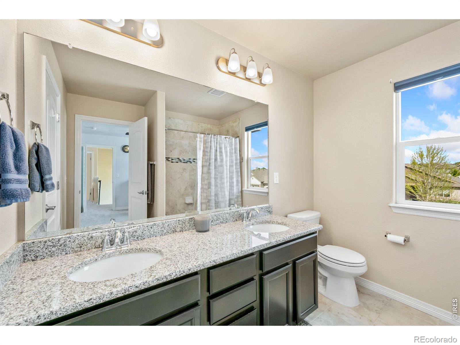 MLS Image #27 for 5628  bexley drive,windsor, Colorado