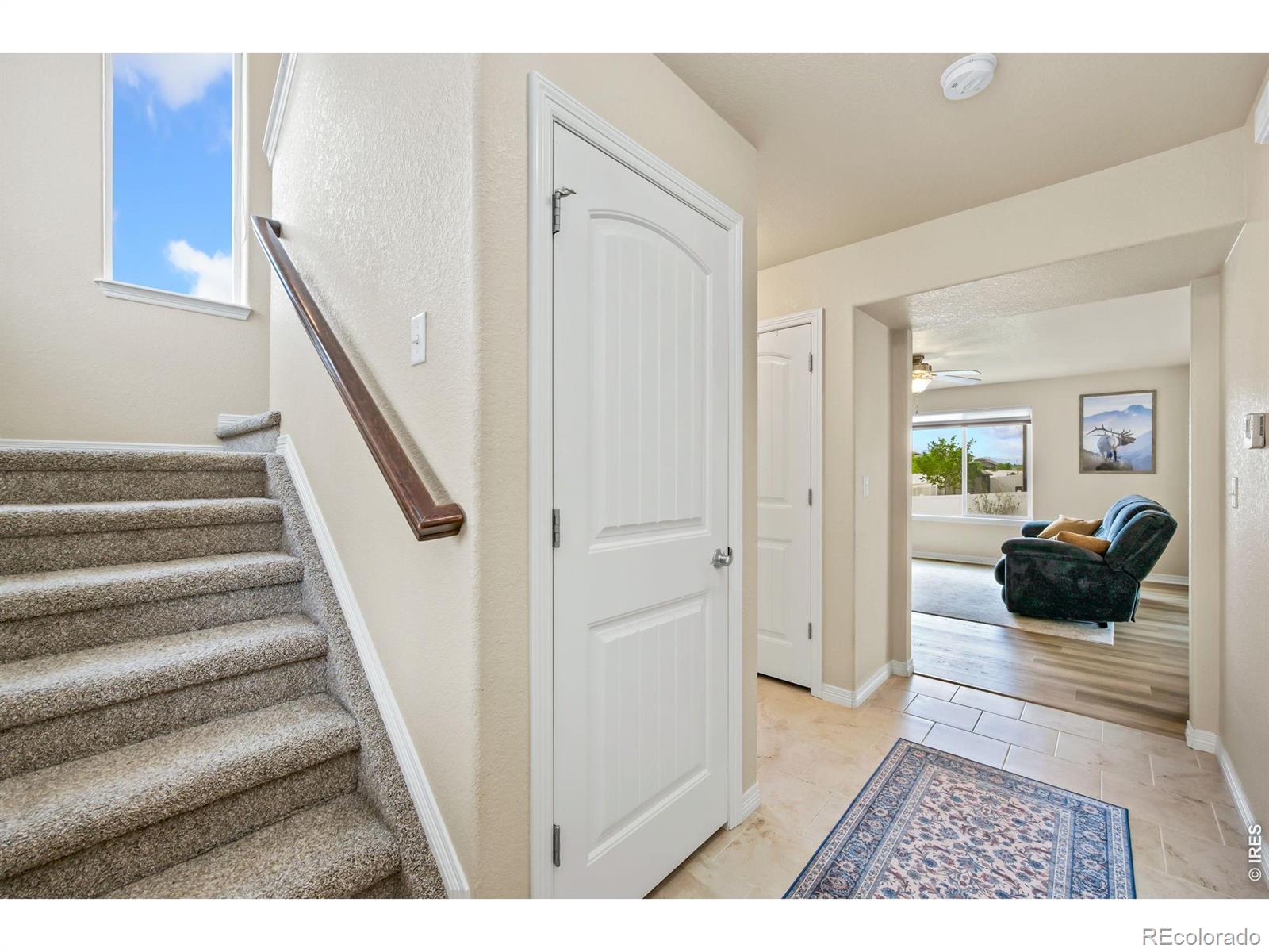 MLS Image #4 for 5628  bexley drive,windsor, Colorado