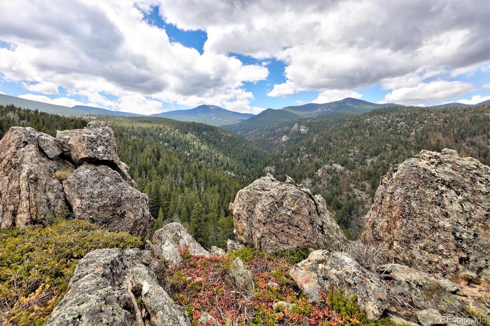 MLS Image #25 for 263  barrows ranch road,evergreen, Colorado