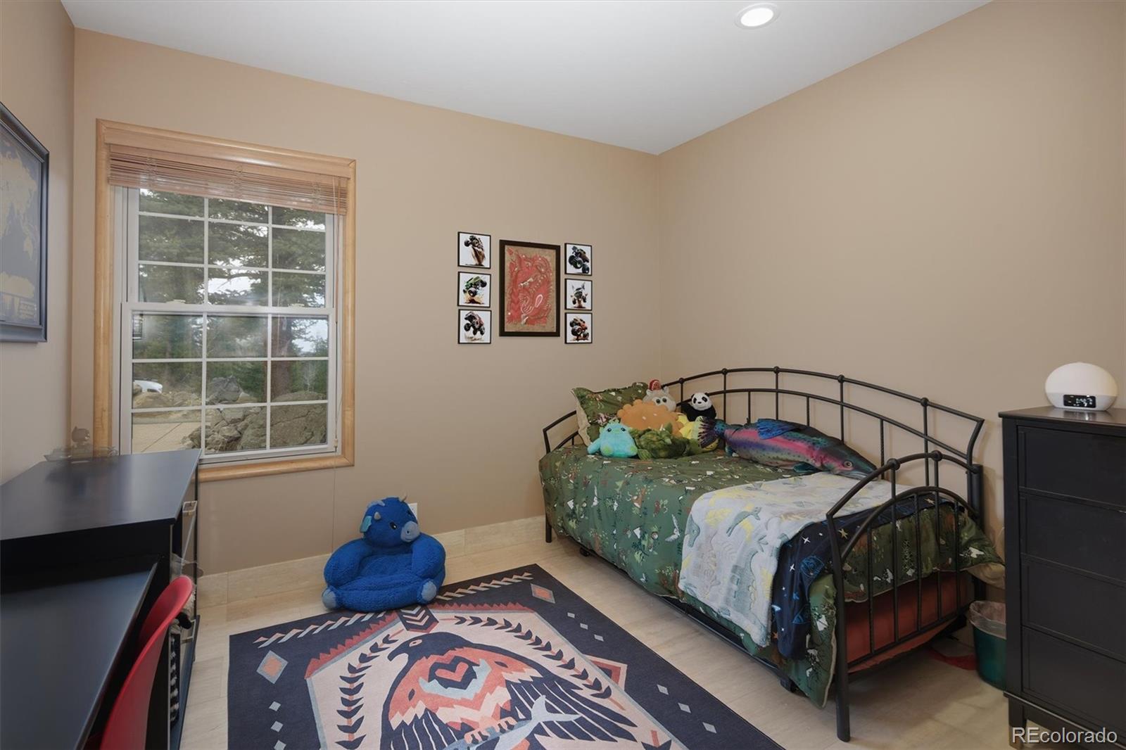 MLS Image #31 for 263  barrows ranch road,evergreen, Colorado
