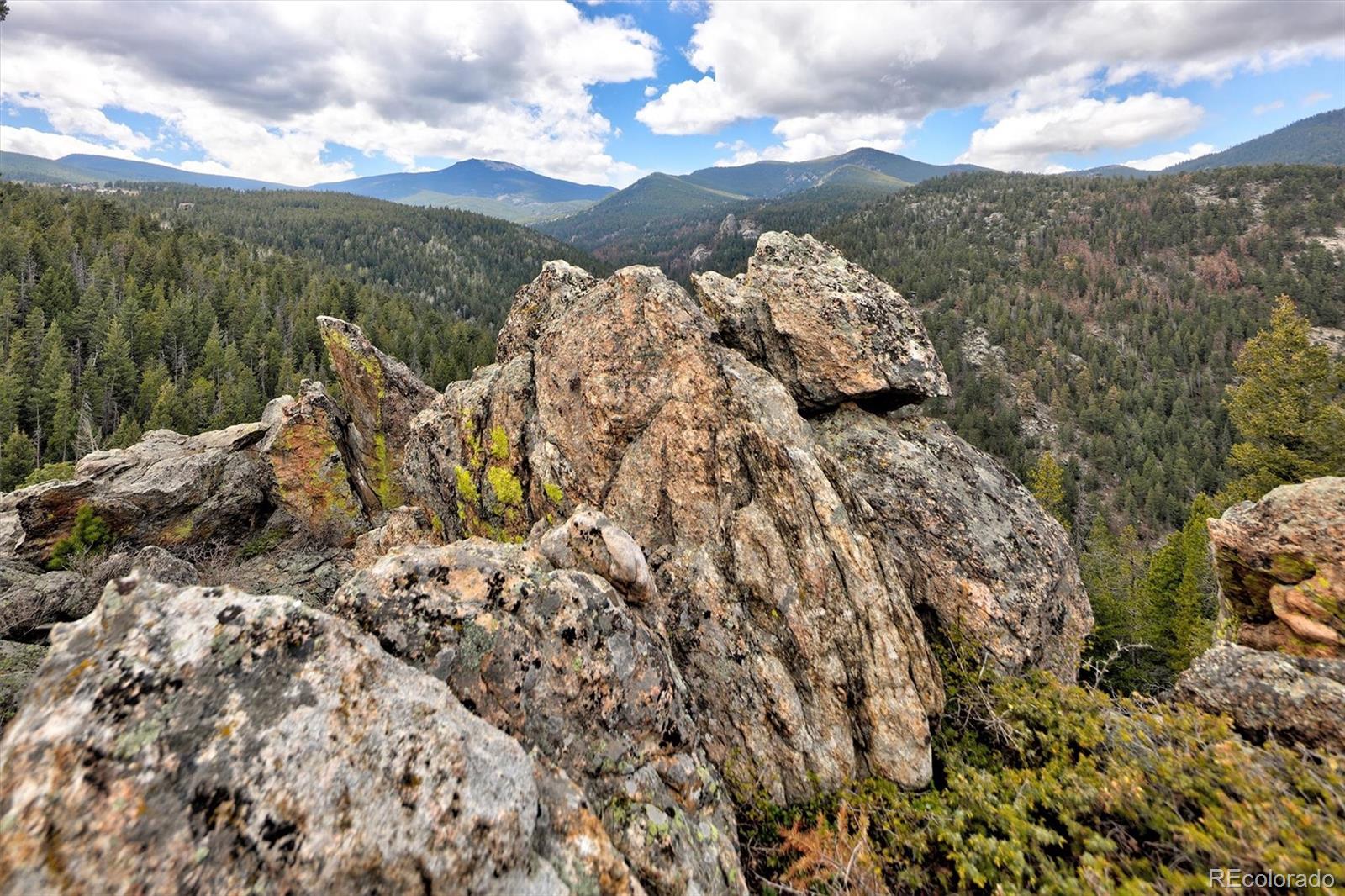 MLS Image #33 for 263  barrows ranch road,evergreen, Colorado