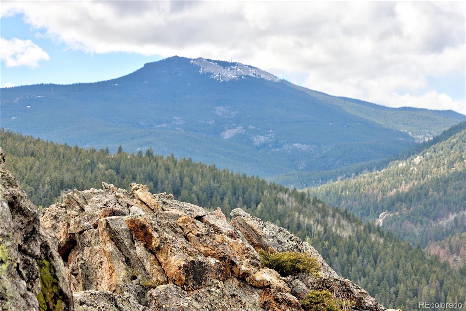MLS Image #34 for 263  barrows ranch road,evergreen, Colorado