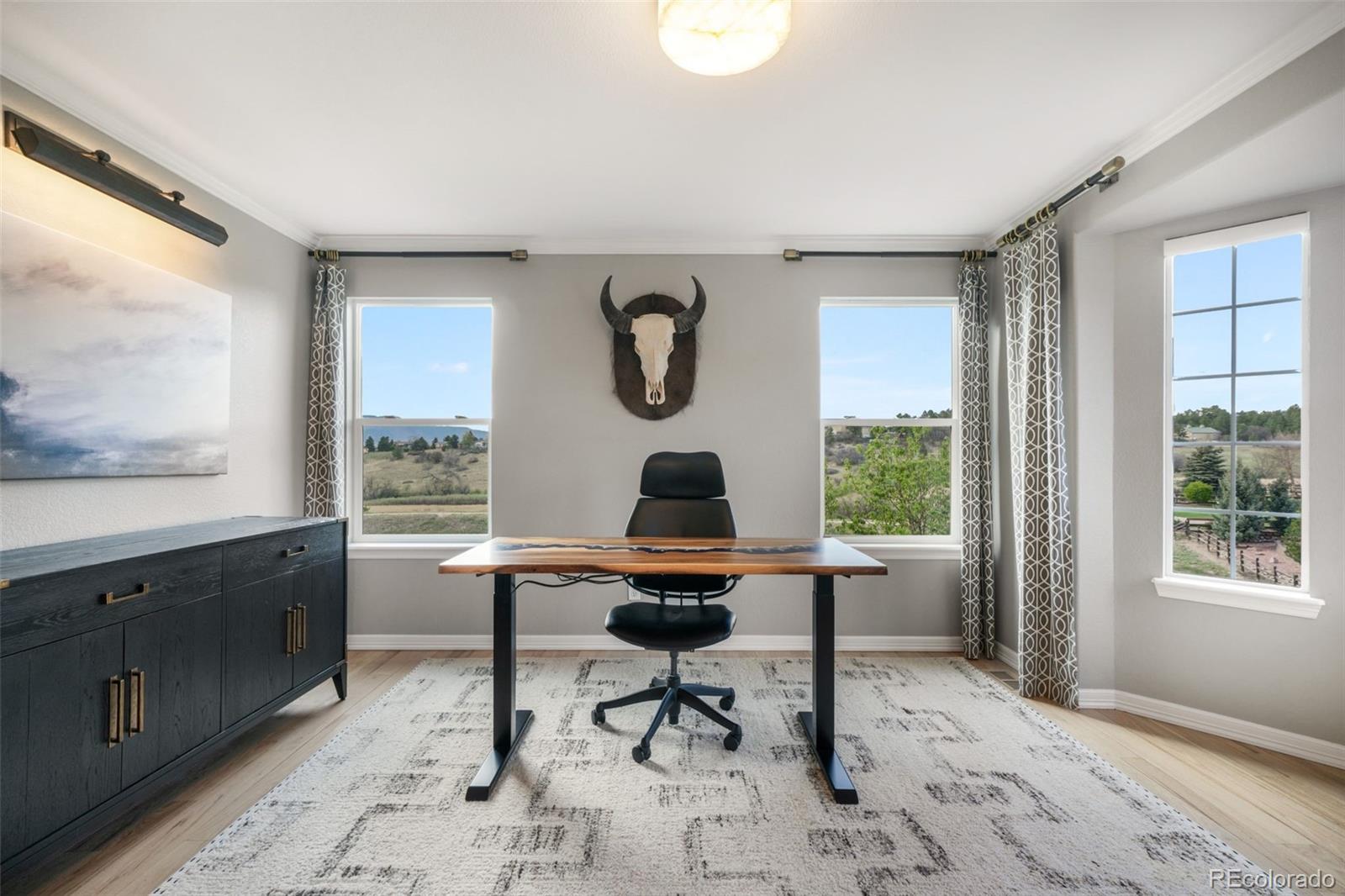 MLS Image #3 for 556  coyote willow drive,colorado springs, Colorado