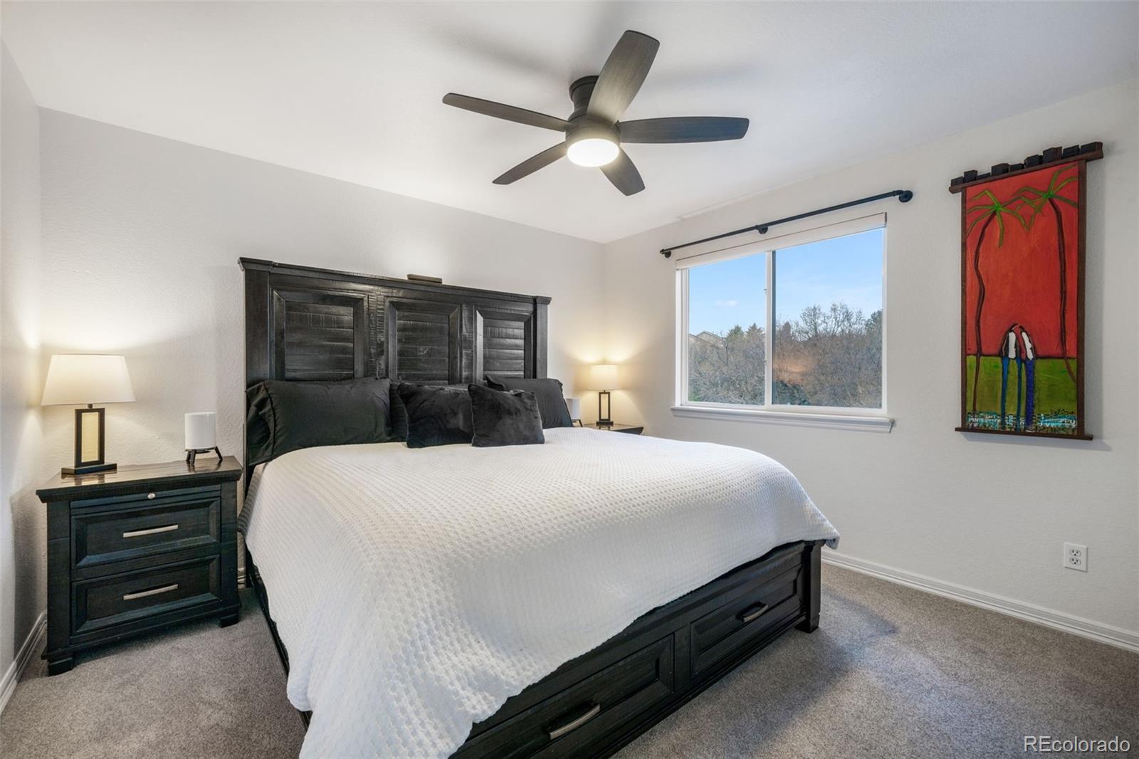MLS Image #36 for 556  coyote willow drive,colorado springs, Colorado