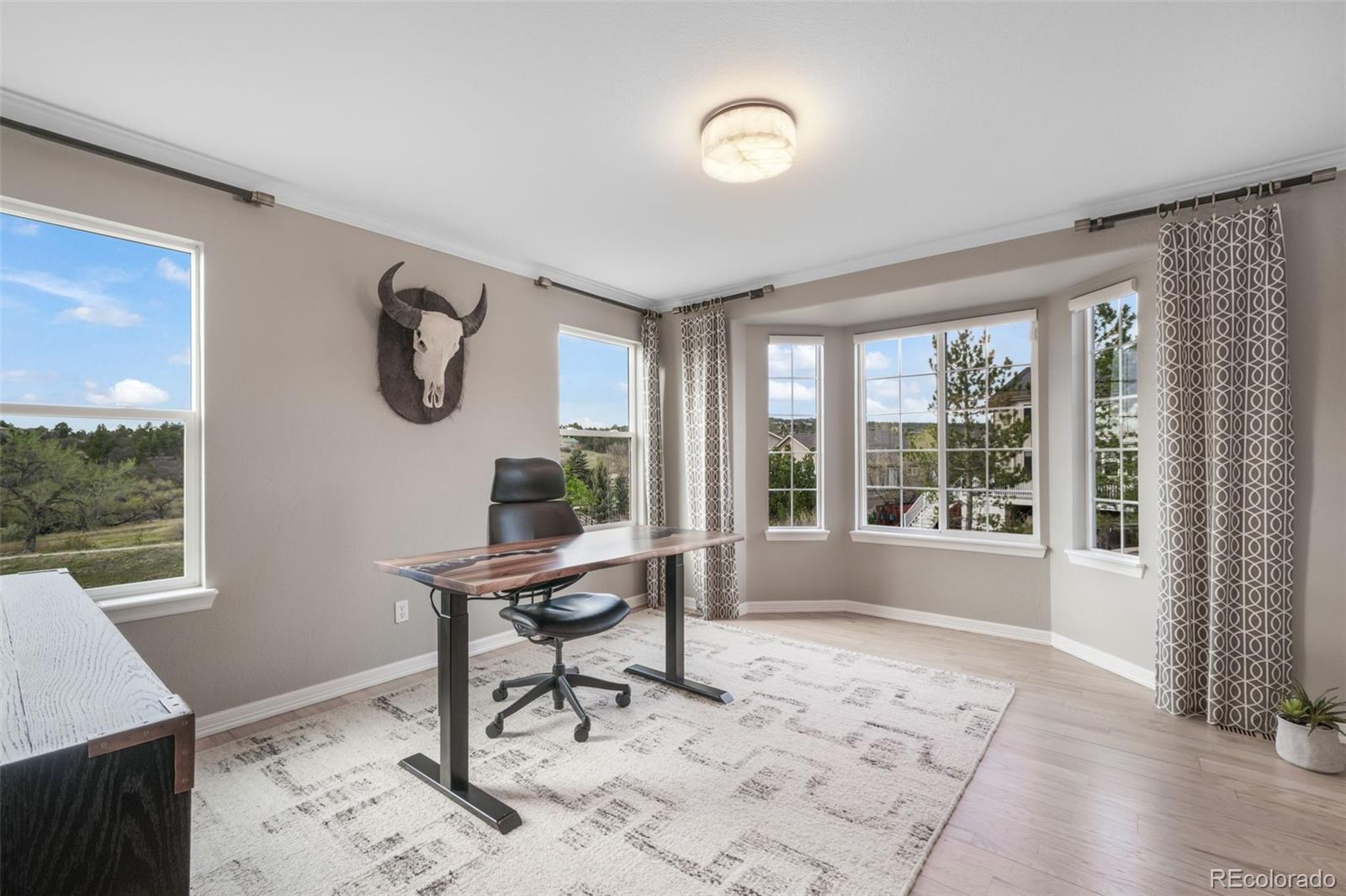 MLS Image #4 for 556  coyote willow drive,colorado springs, Colorado