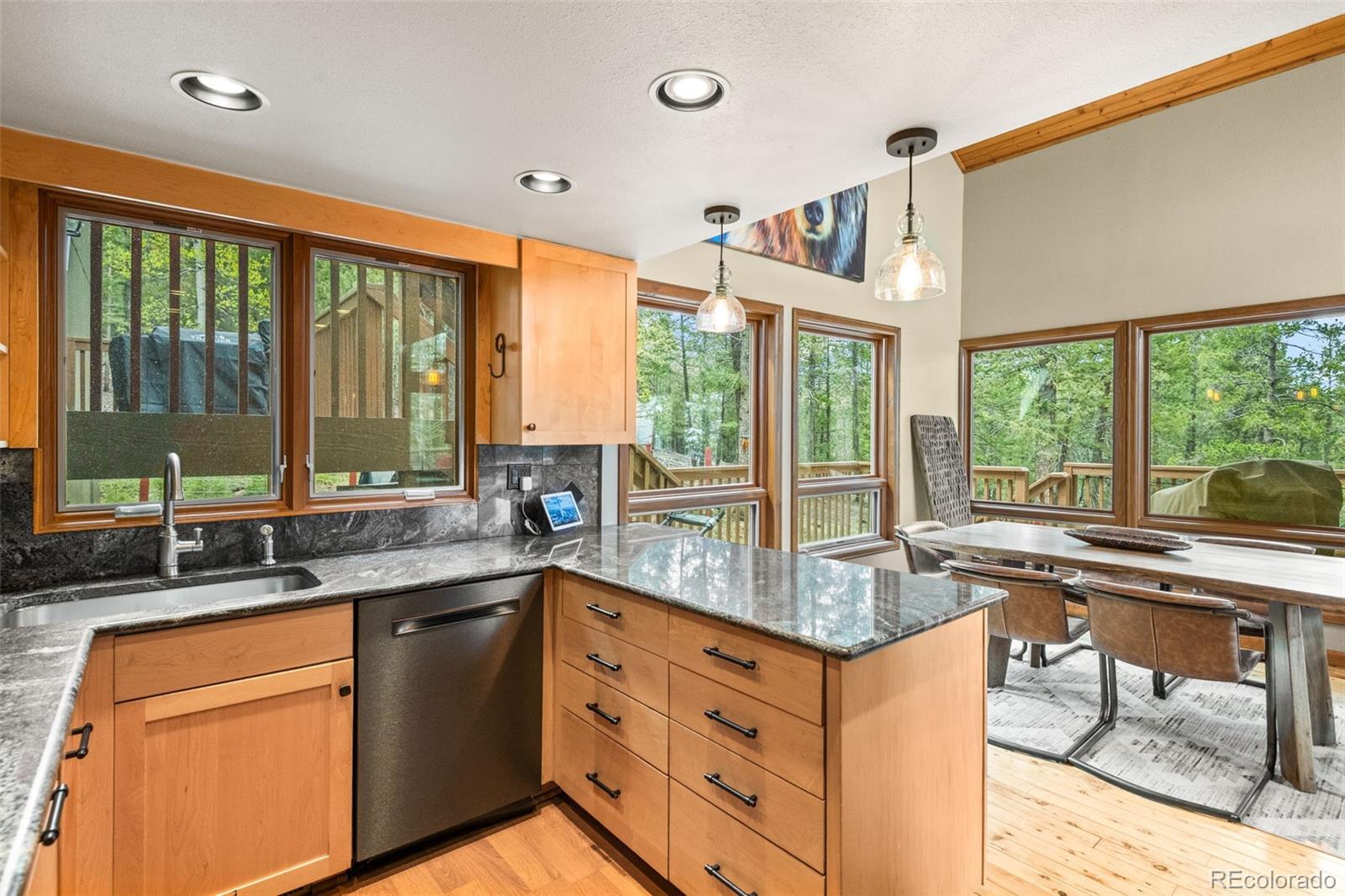 MLS Image #11 for 9471 s warhawk road,conifer, Colorado