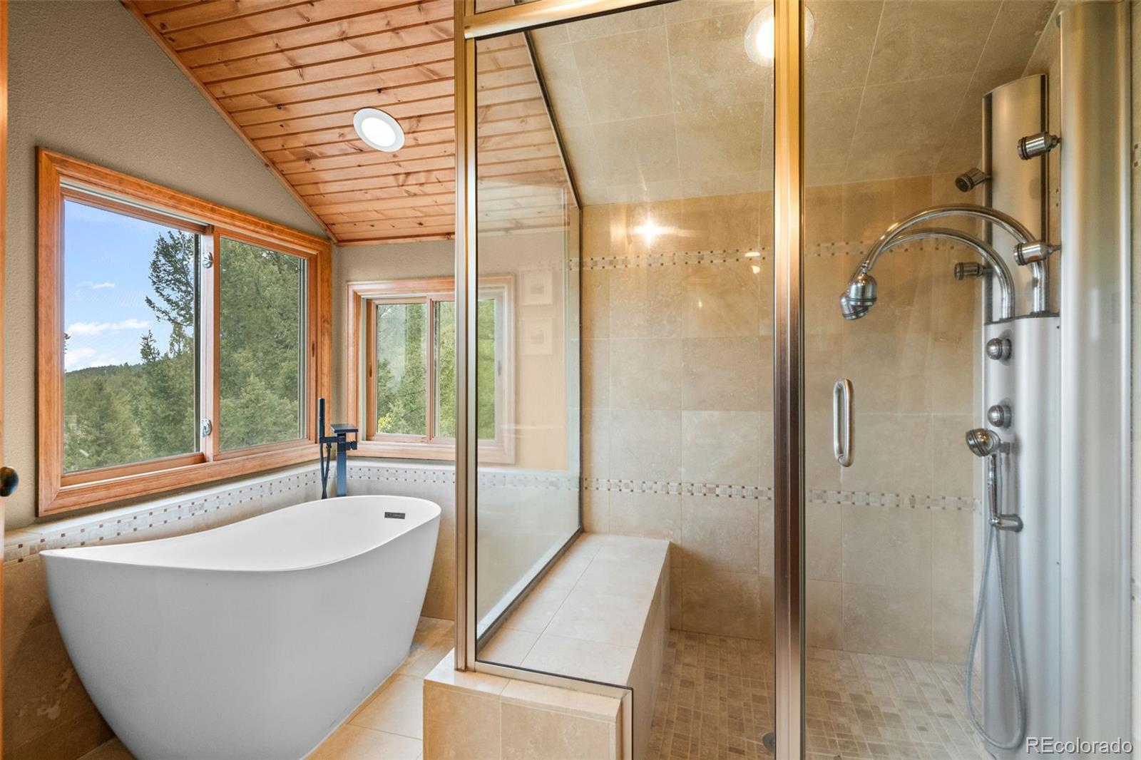 MLS Image #19 for 9471 s warhawk road,conifer, Colorado