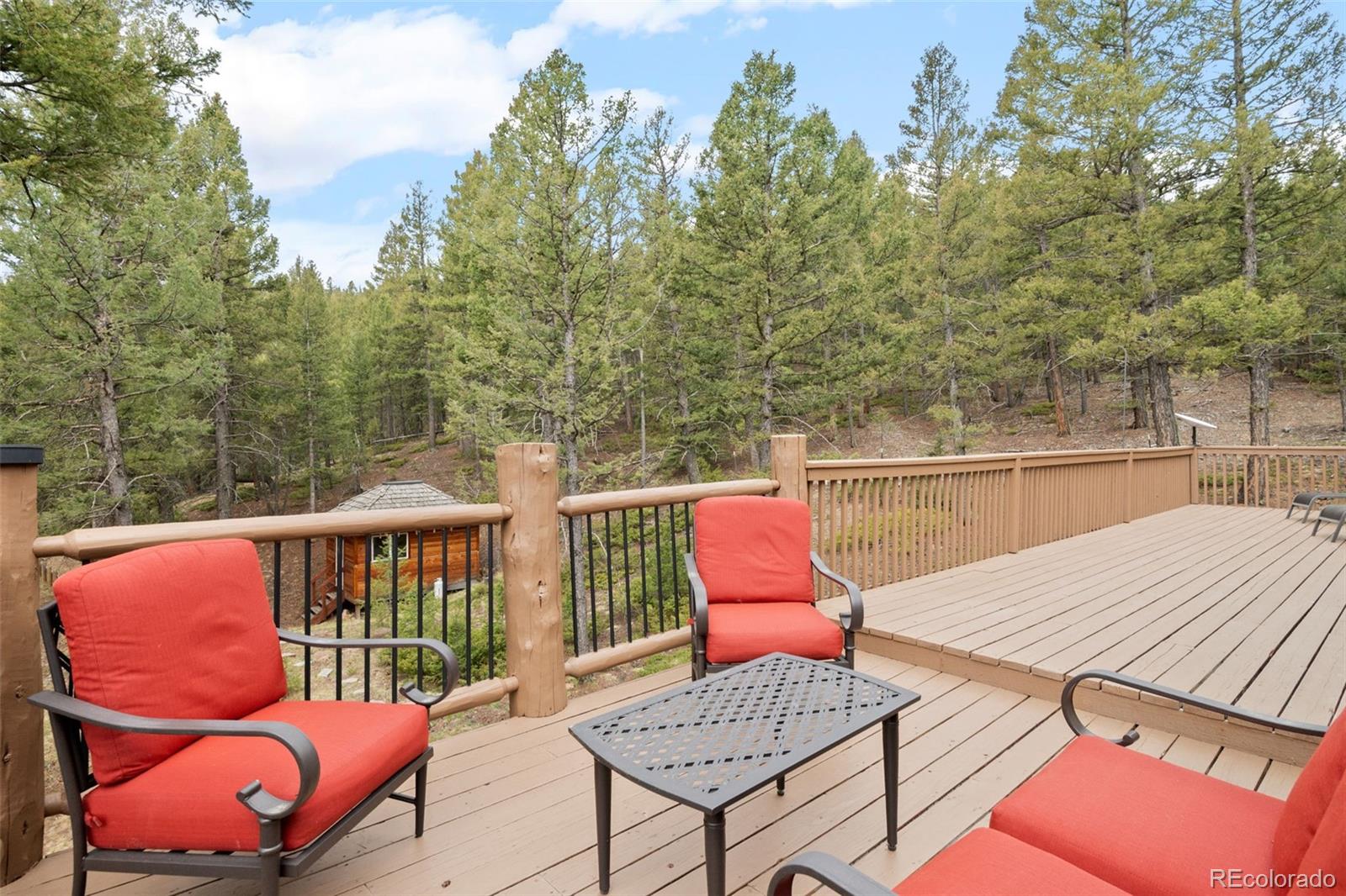 MLS Image #26 for 9471 s warhawk road,conifer, Colorado