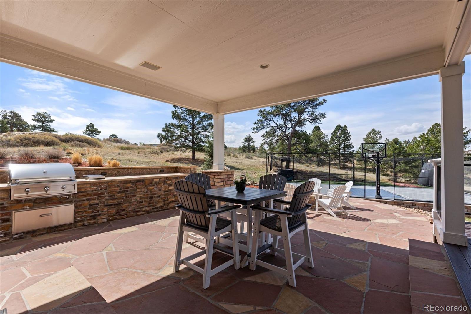 MLS Image #13 for 11701  dunrich road,parker, Colorado
