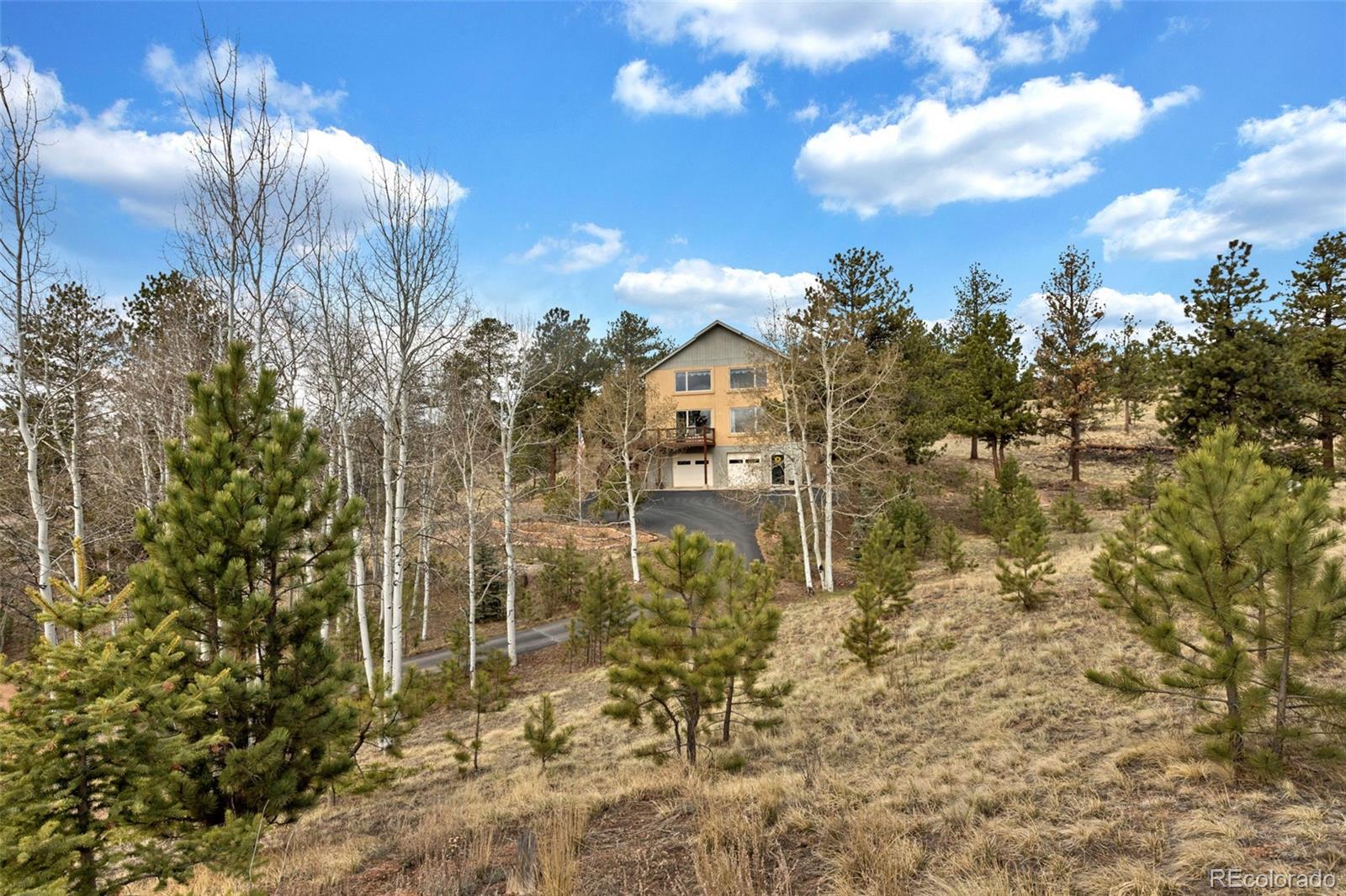 MLS Image #0 for 38  kingston drive,florissant, Colorado