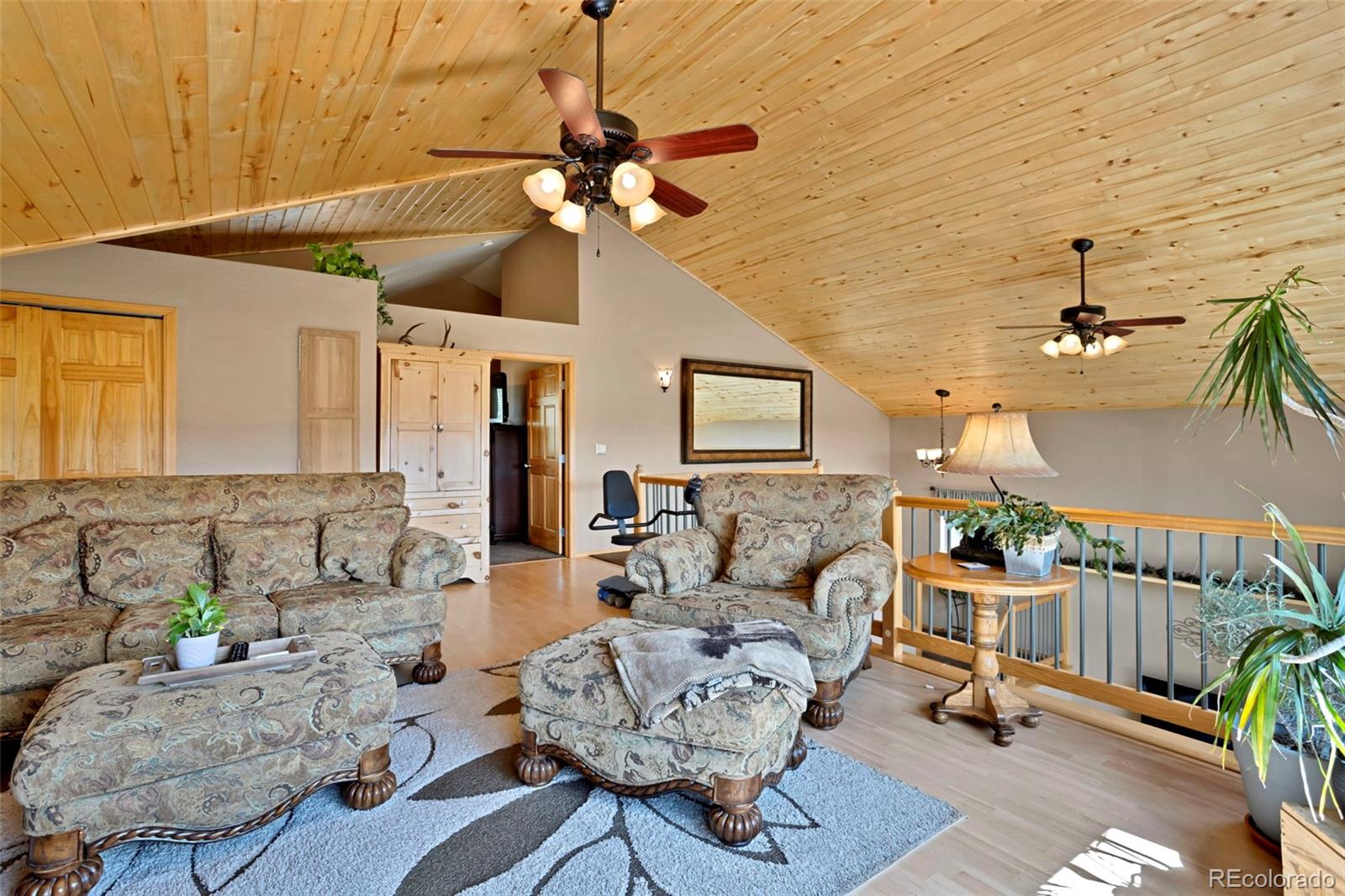 MLS Image #26 for 38  kingston drive,florissant, Colorado