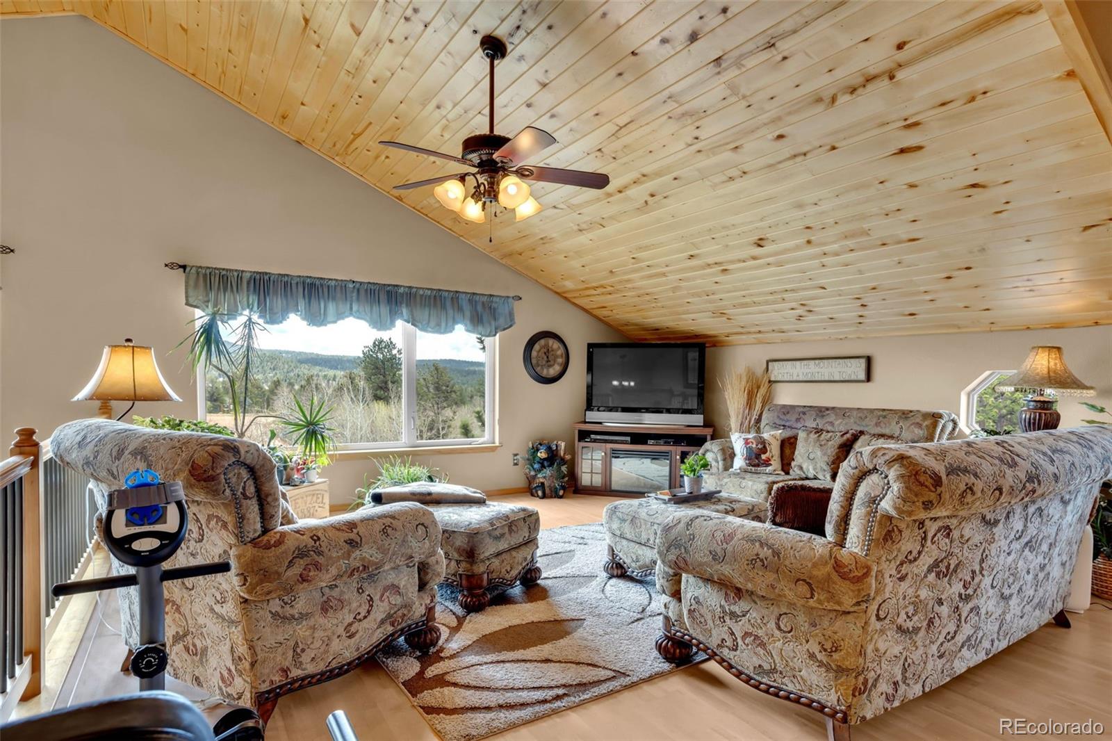 MLS Image #27 for 38  kingston drive,florissant, Colorado