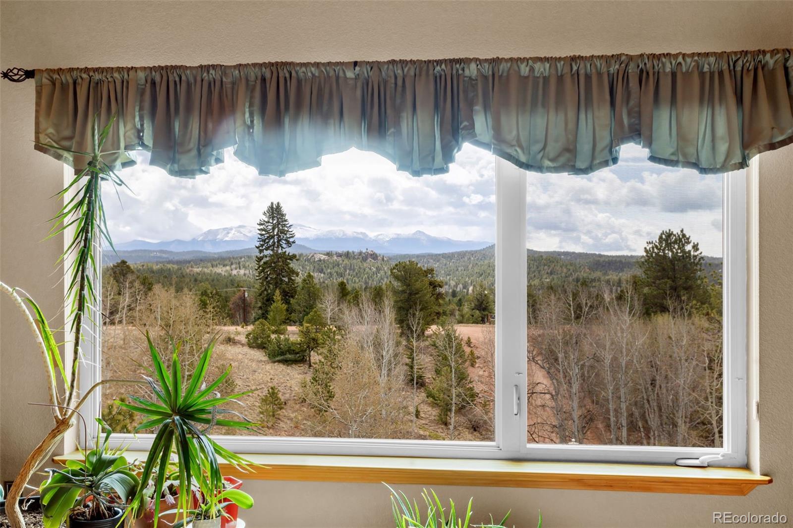 MLS Image #28 for 38  kingston drive,florissant, Colorado