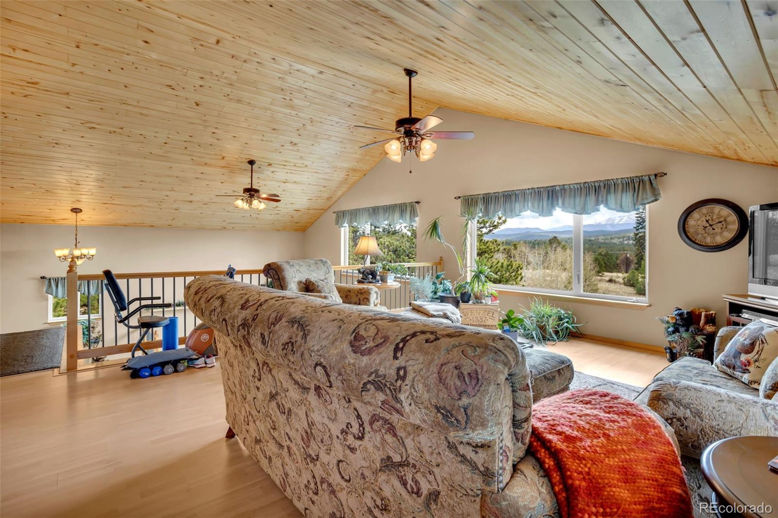 MLS Image #29 for 38  kingston drive,florissant, Colorado