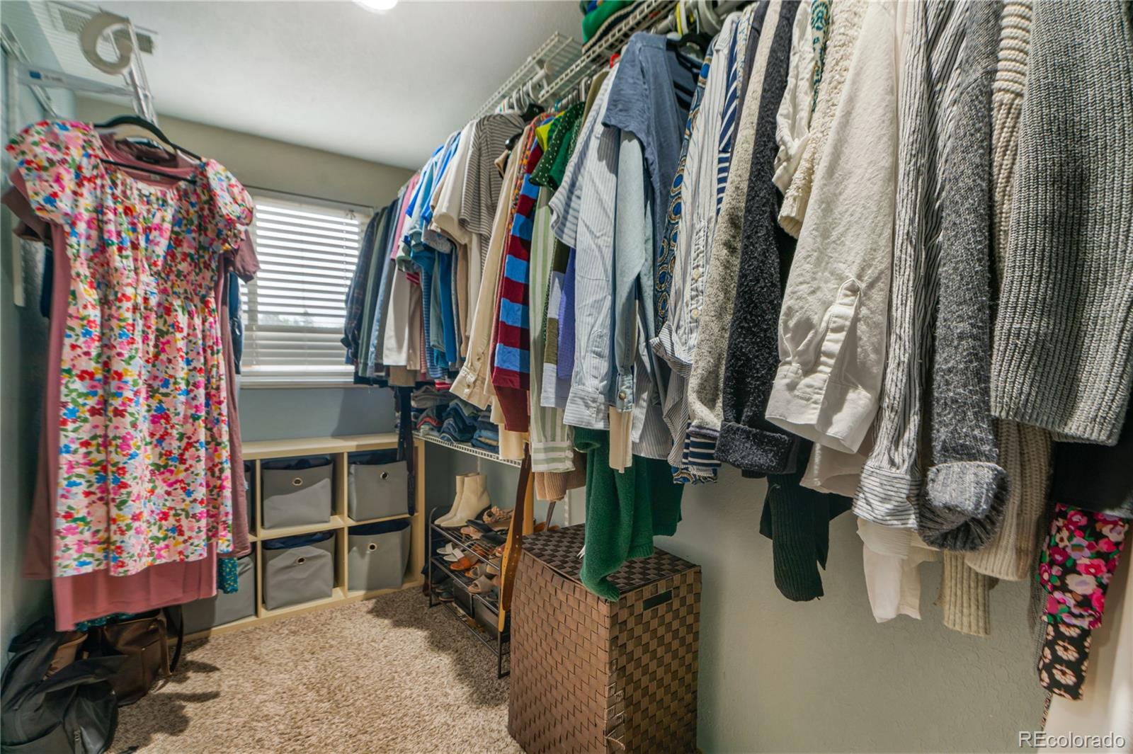 MLS Image #11 for 10651  newcombe street,broomfield, Colorado