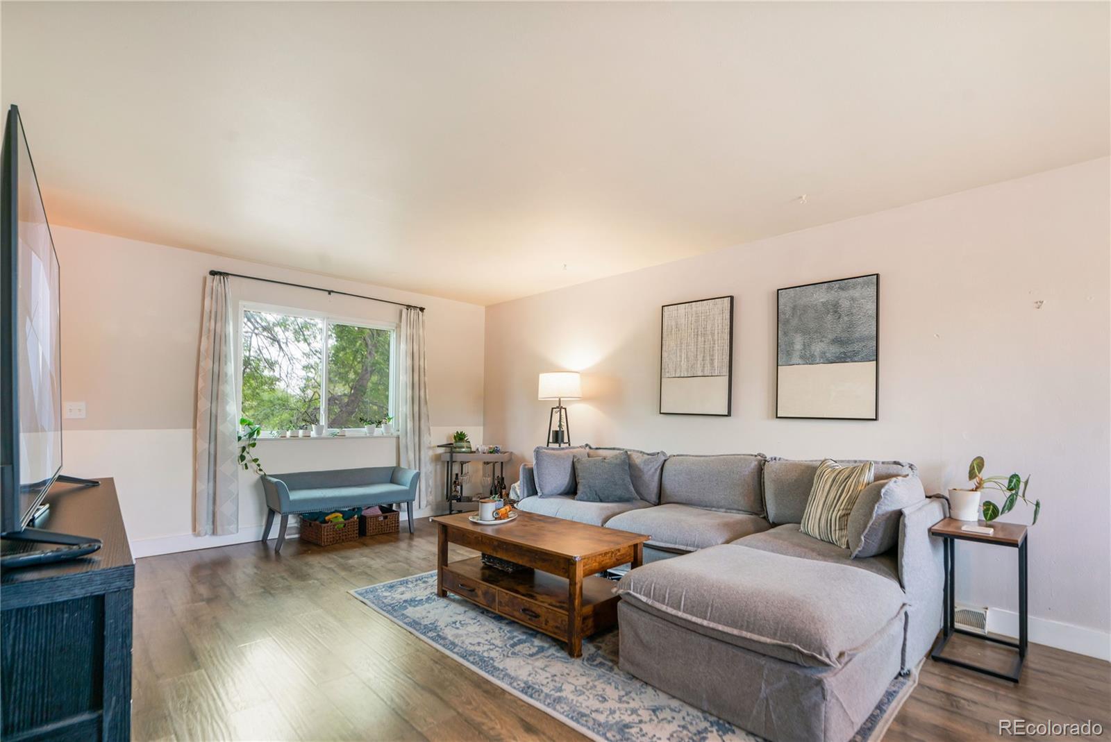 MLS Image #4 for 10651  newcombe street,broomfield, Colorado