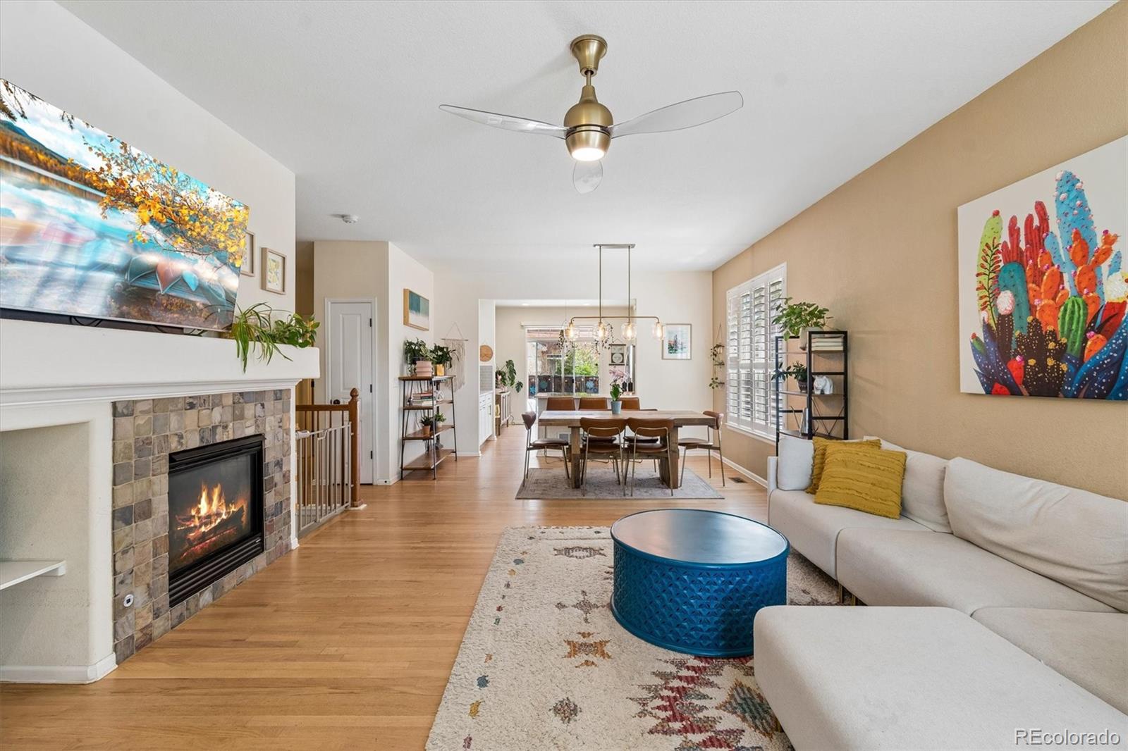 MLS Image #5 for 154  oneida court,denver, Colorado