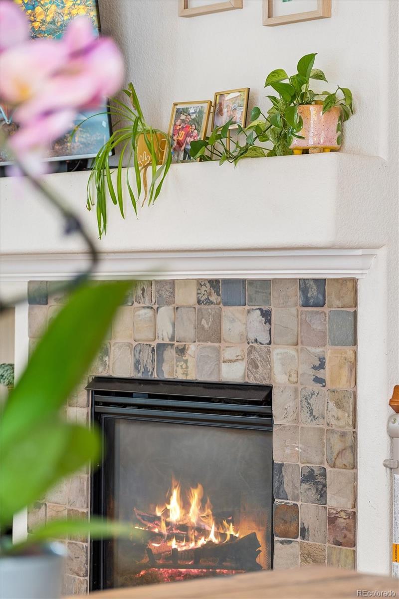 MLS Image #6 for 154  oneida court,denver, Colorado