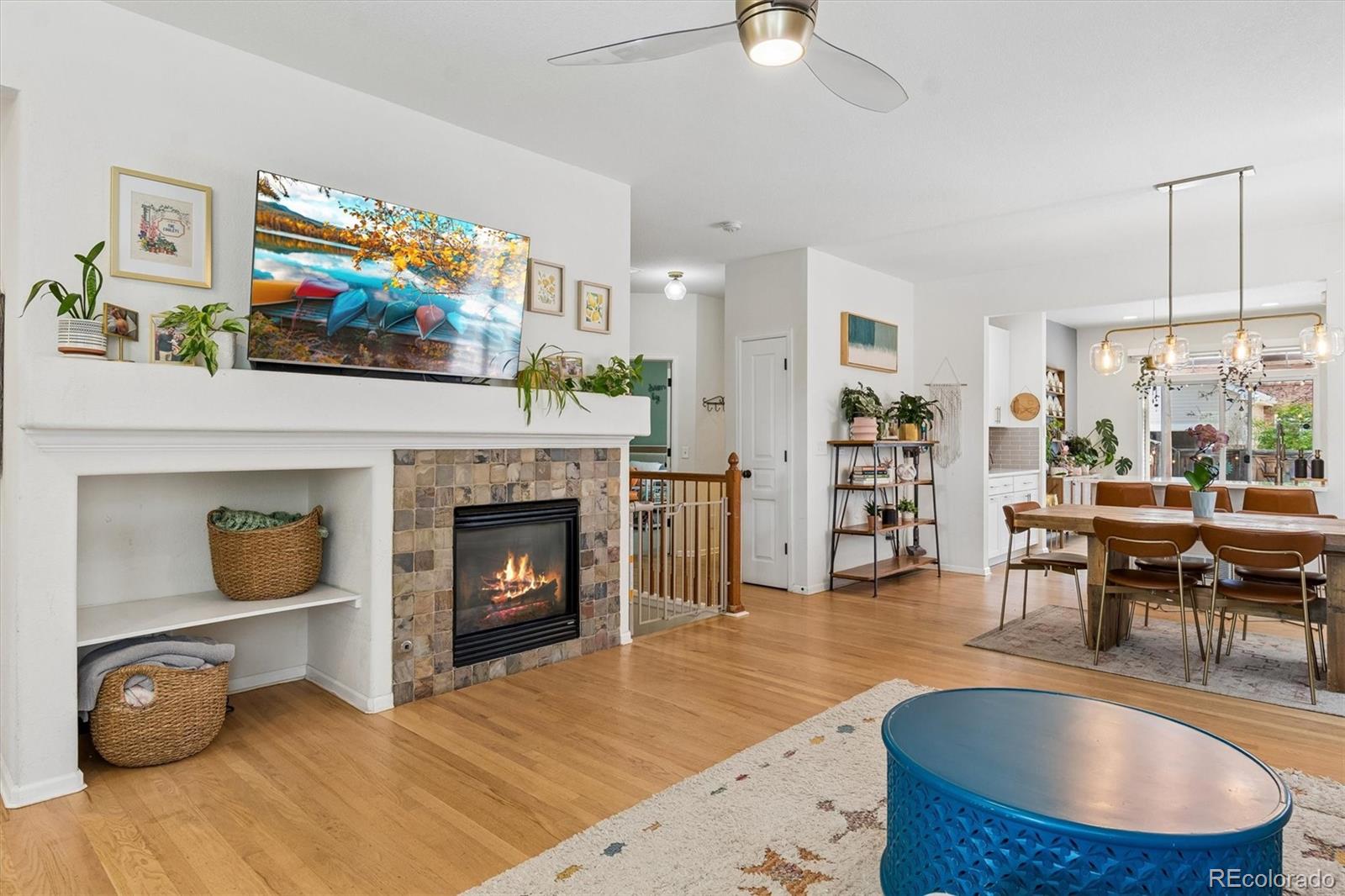 MLS Image #7 for 154  oneida court,denver, Colorado