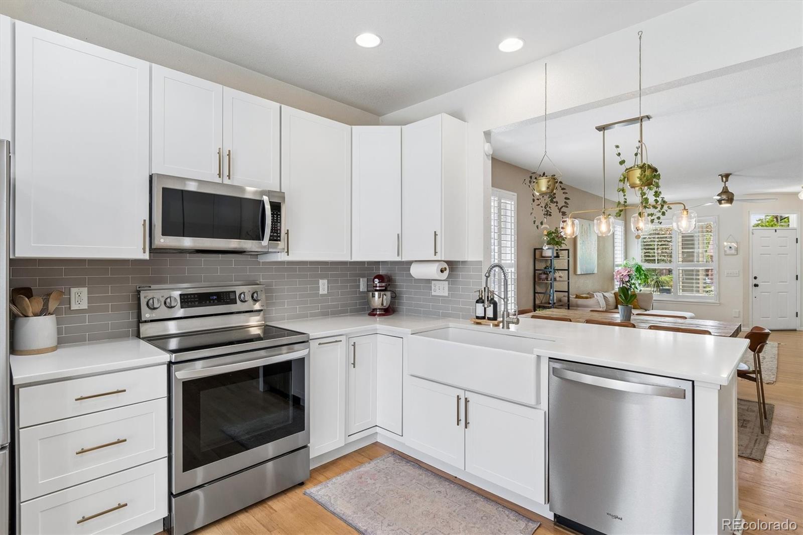 MLS Image #9 for 154  oneida court,denver, Colorado