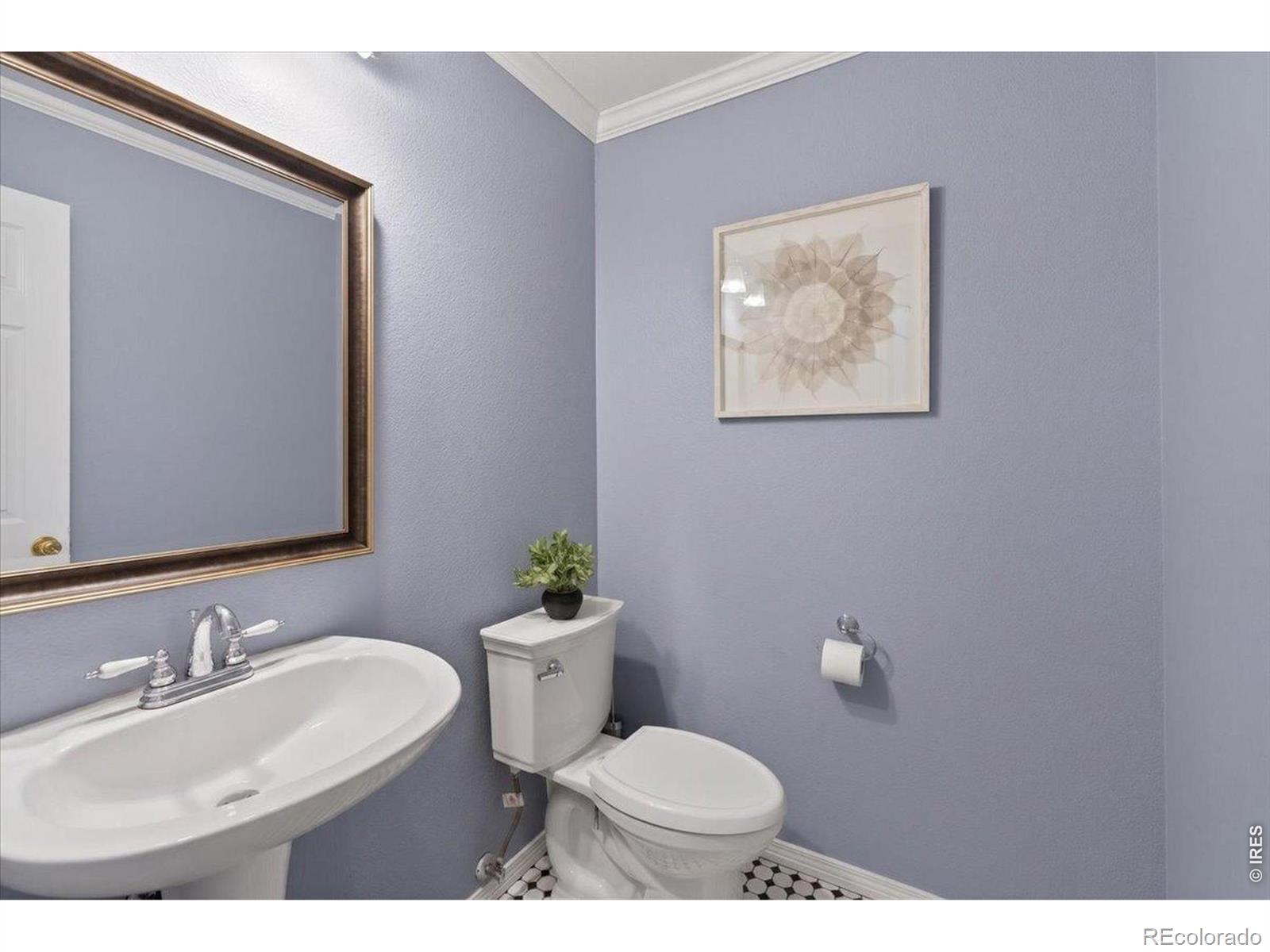MLS Image #10 for 810  megan court,longmont, Colorado