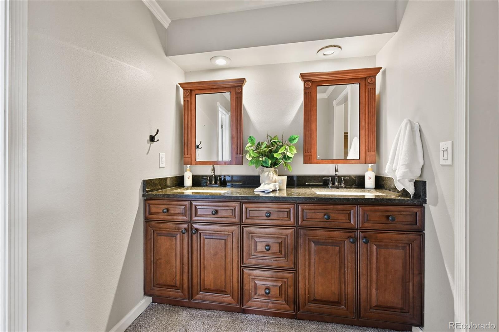 MLS Image #24 for 11433  brownstone drive,parker, Colorado