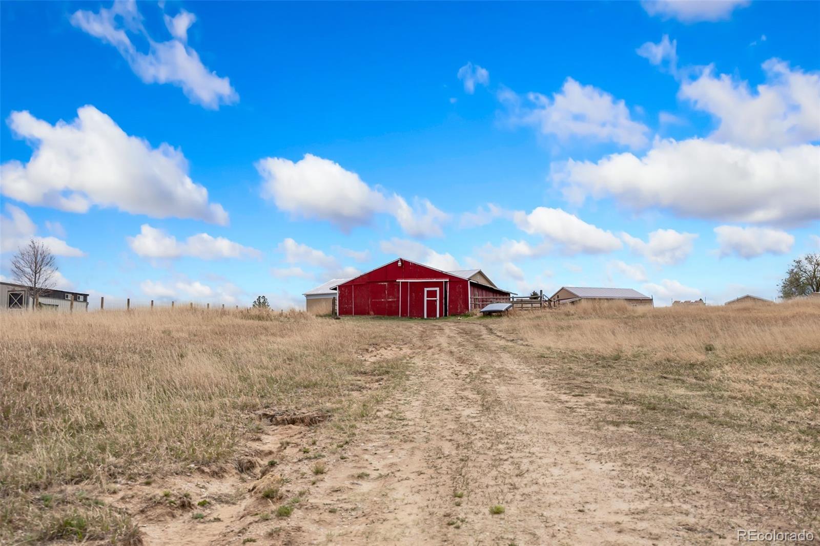 MLS Image #5 for 1782  arabian trail,elizabeth, Colorado