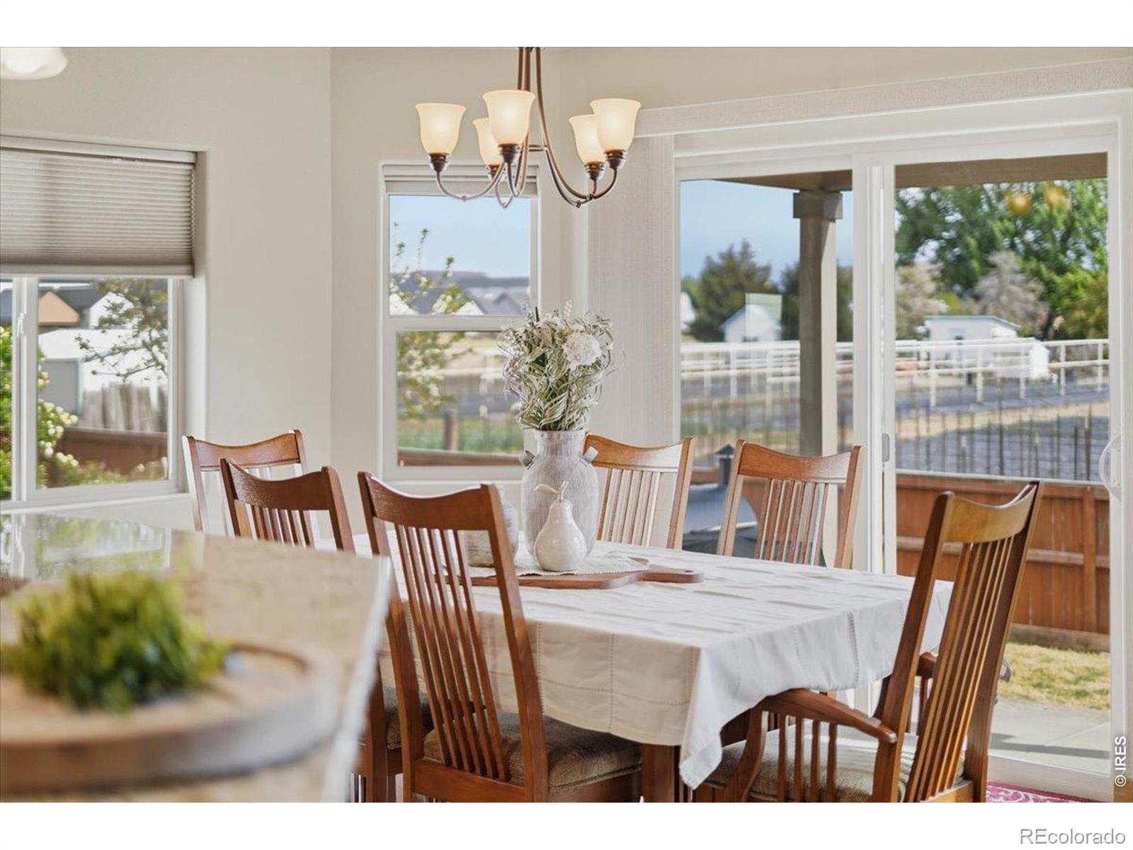 MLS Image #13 for 1742  platte river court,windsor, Colorado