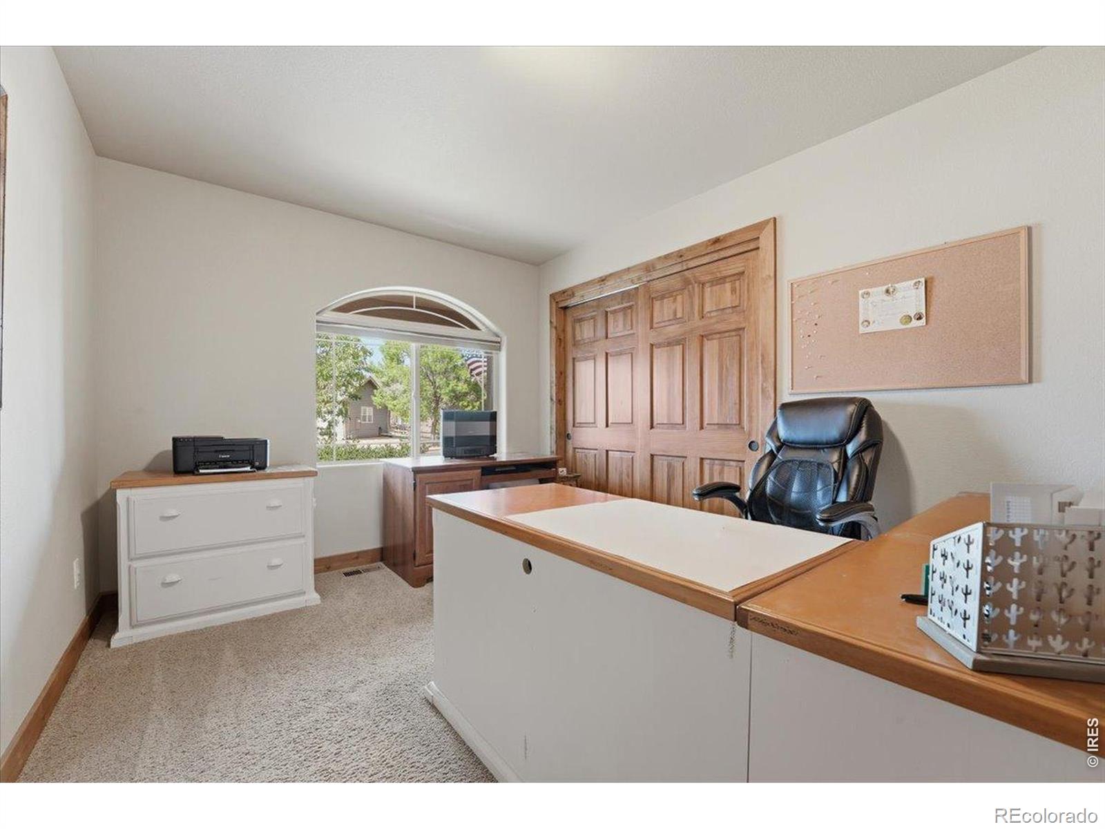 MLS Image #22 for 1742  platte river court,windsor, Colorado