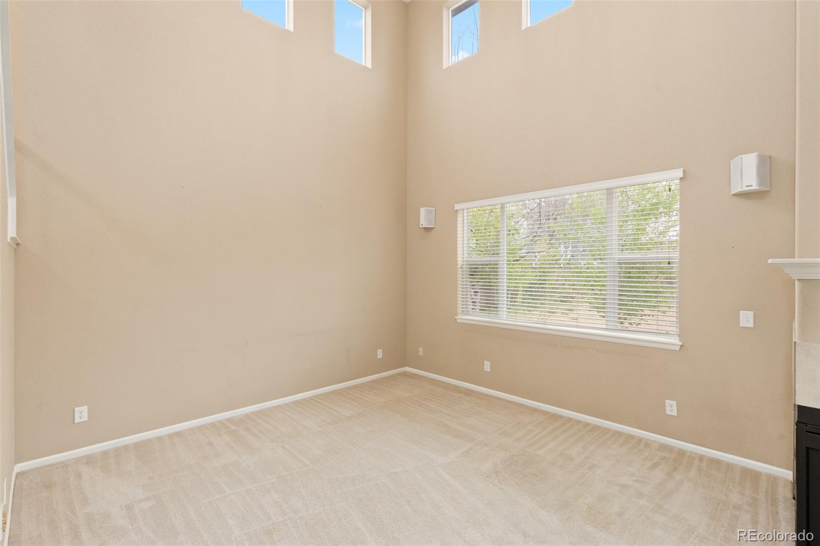 MLS Image #7 for 218  ardmore street,castle rock, Colorado