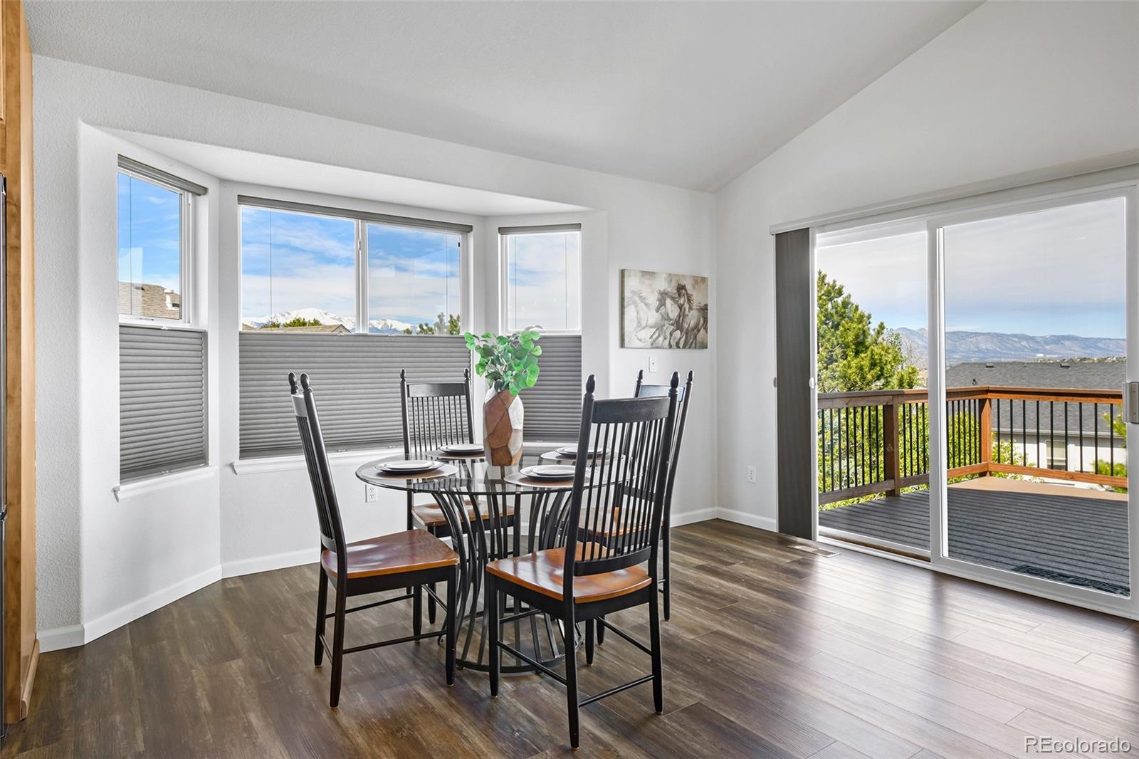 MLS Image #14 for 4432  flat top place,colorado springs, Colorado