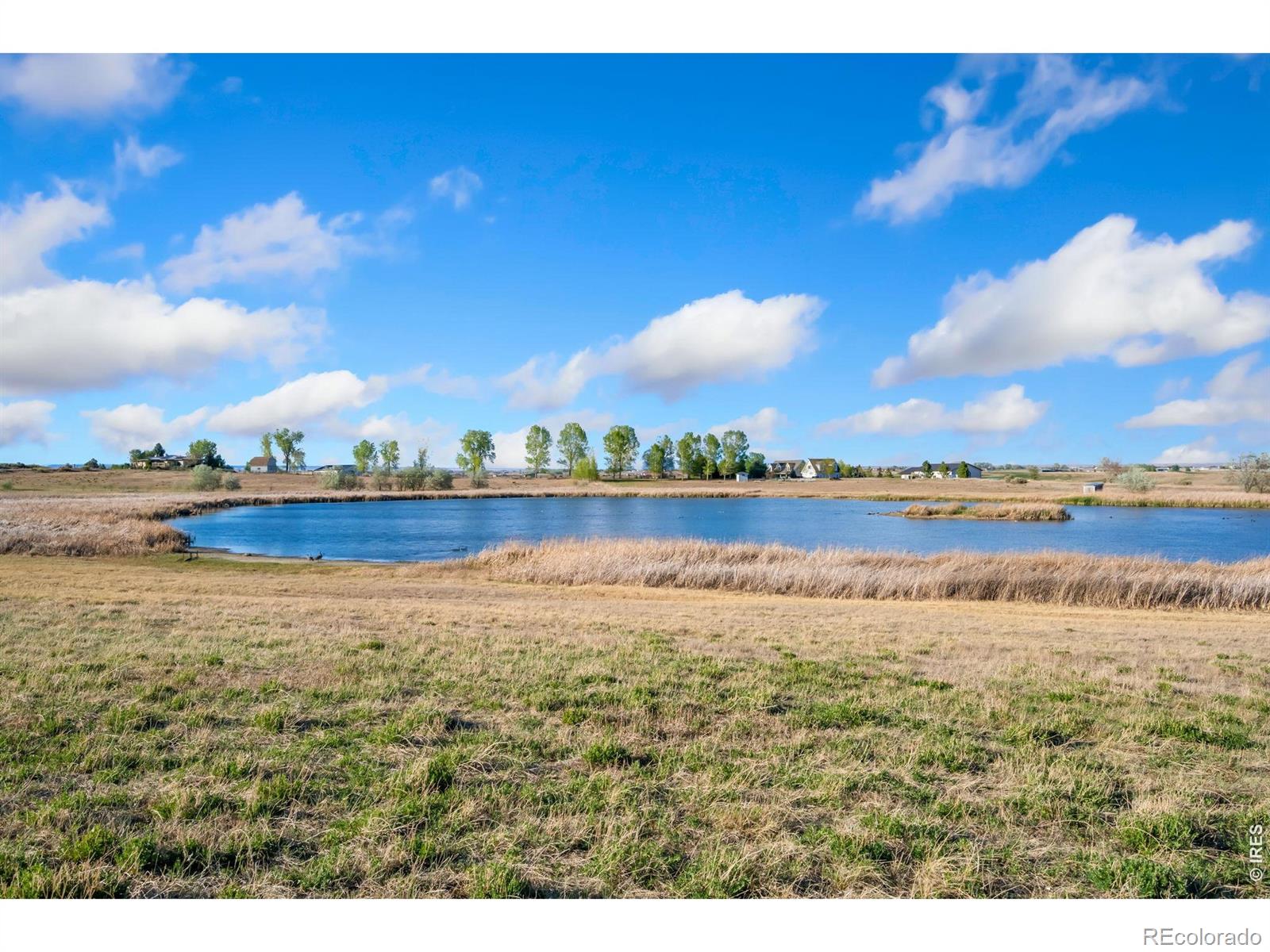 MLS Image #7 for 1126  jason road,fort collins, Colorado