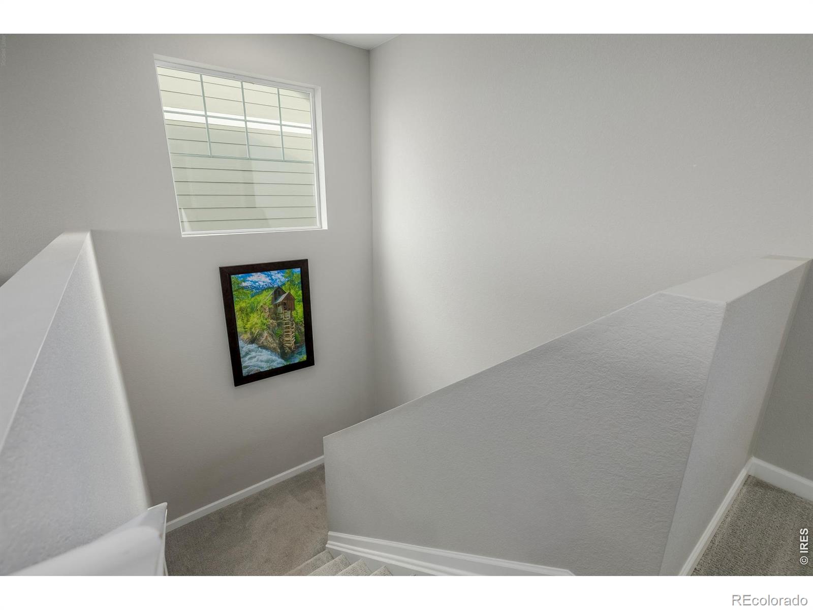MLS Image #20 for 521  bear peak court,erie, Colorado