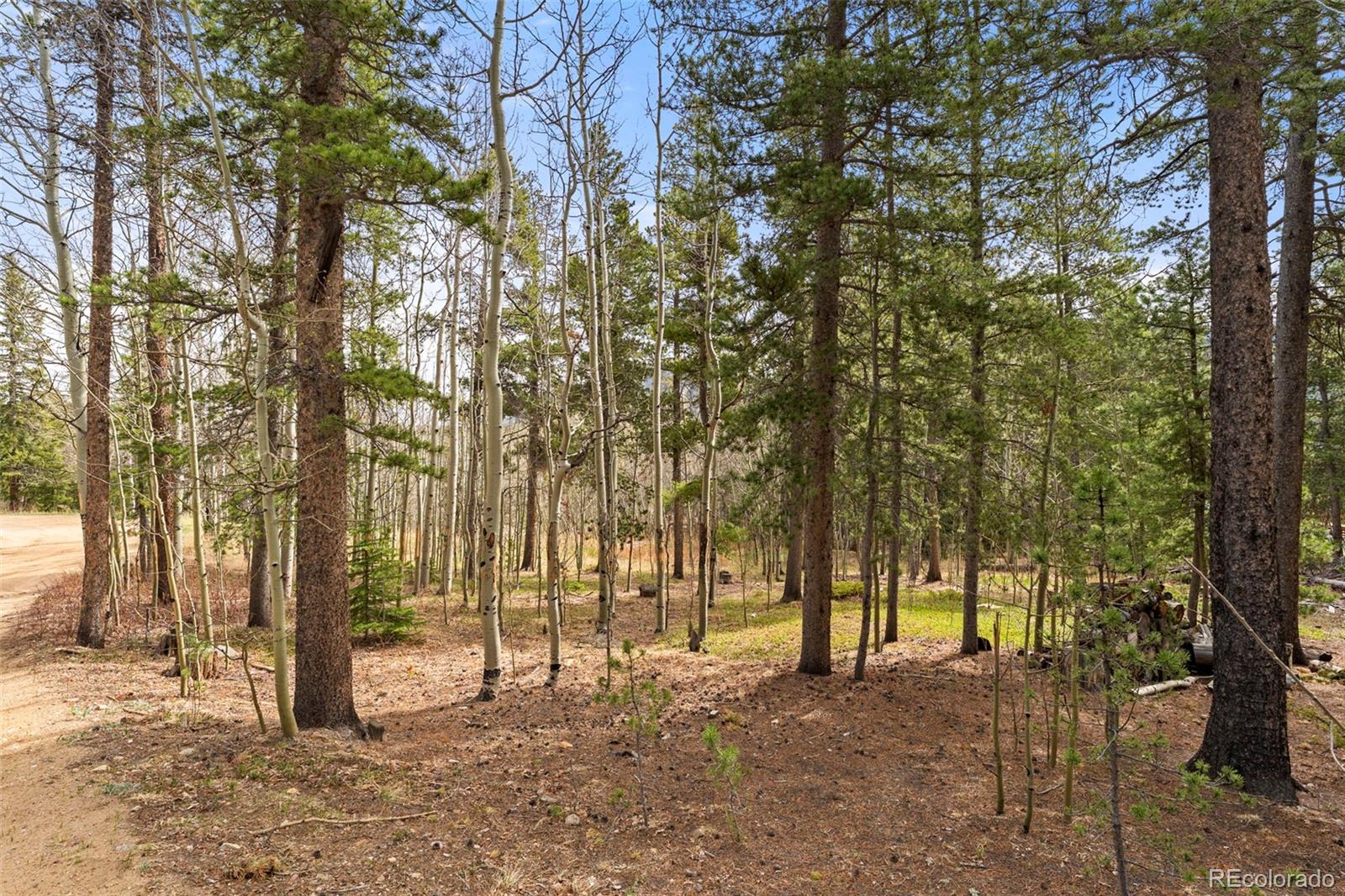 MLS Image #30 for 418  athena road,black hawk, Colorado