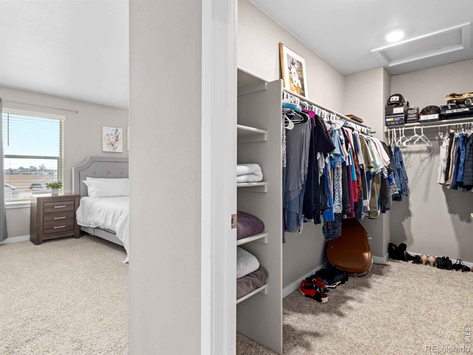 MLS Image #18 for 4510  bishopsgate drive,windsor, Colorado
