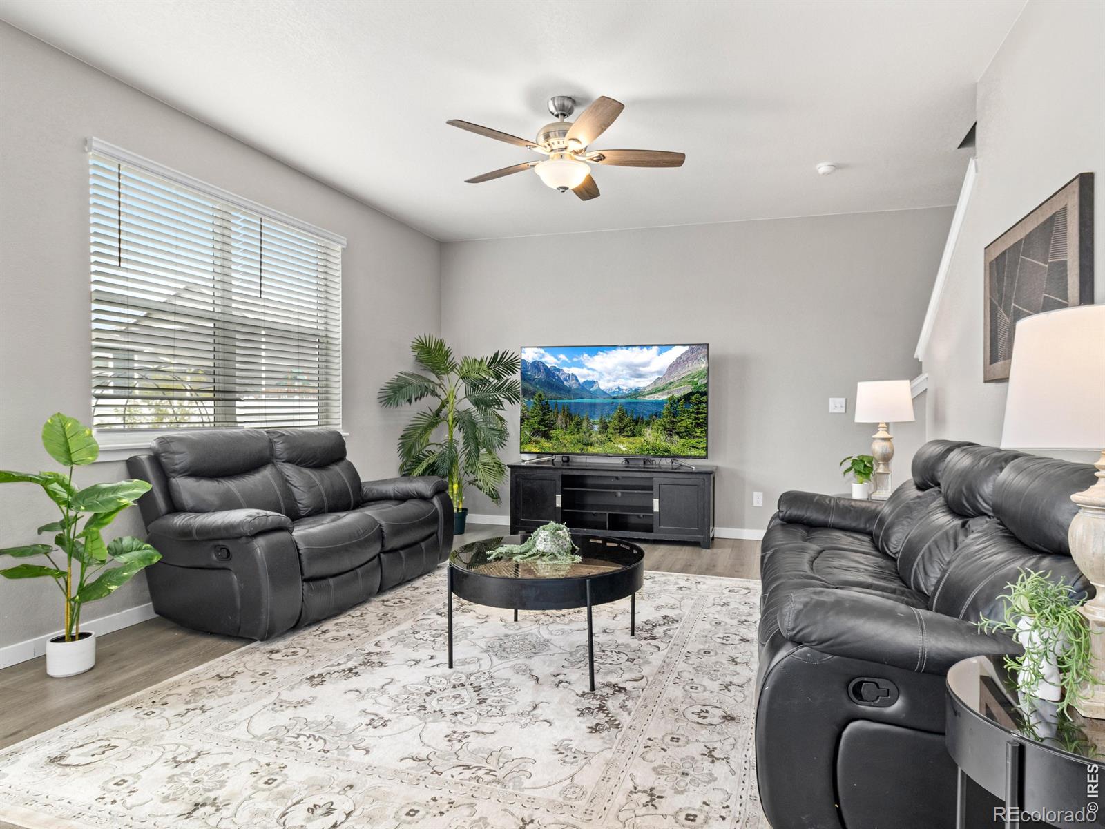 MLS Image #5 for 4510  bishopsgate drive,windsor, Colorado