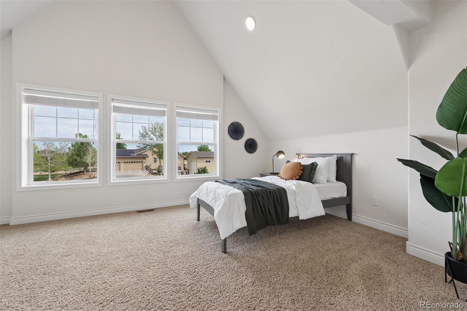 MLS Image #29 for 37158  dickerson run,severance, Colorado
