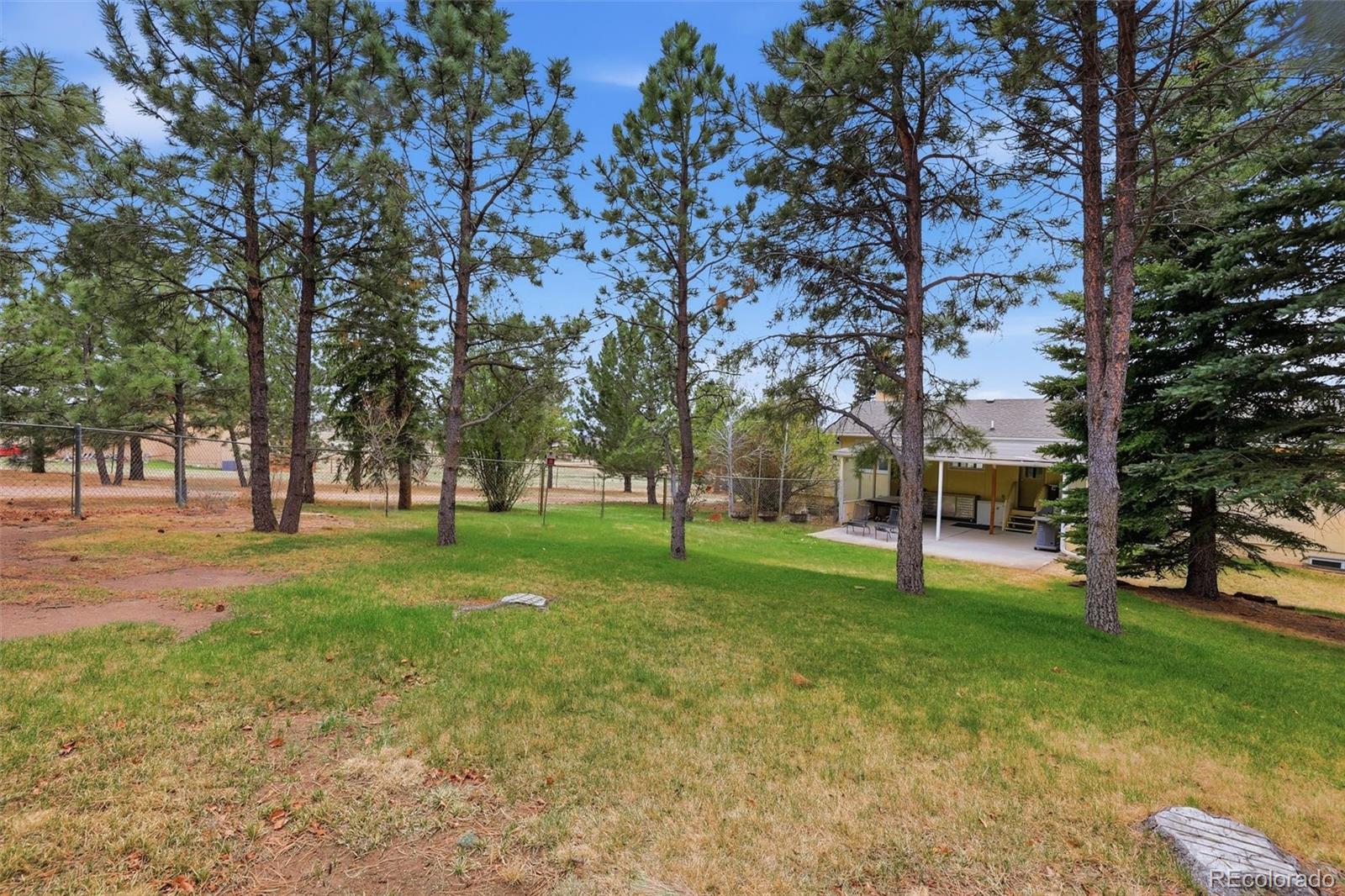 MLS Image #29 for 760  struthers loop,colorado springs, Colorado