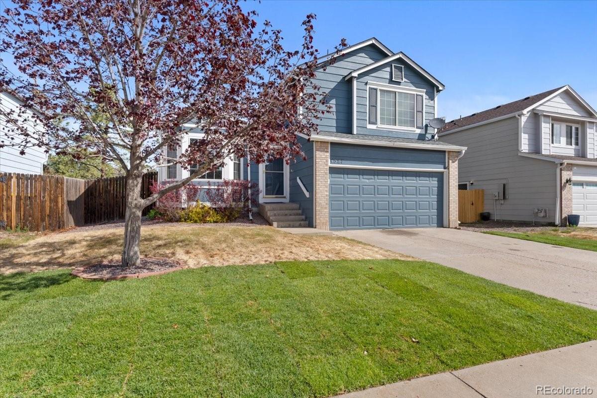 MLS Image #1 for 4527 e andover avenue,castle rock, Colorado