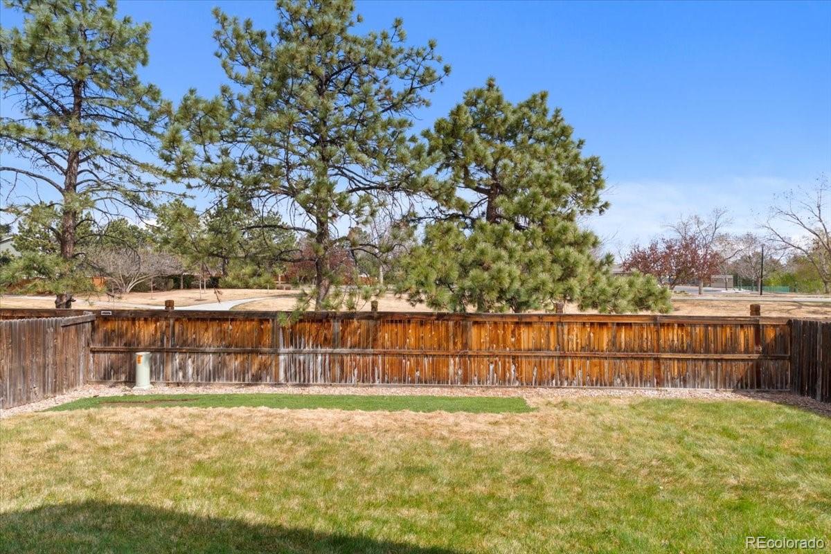 MLS Image #31 for 4527 e andover avenue,castle rock, Colorado