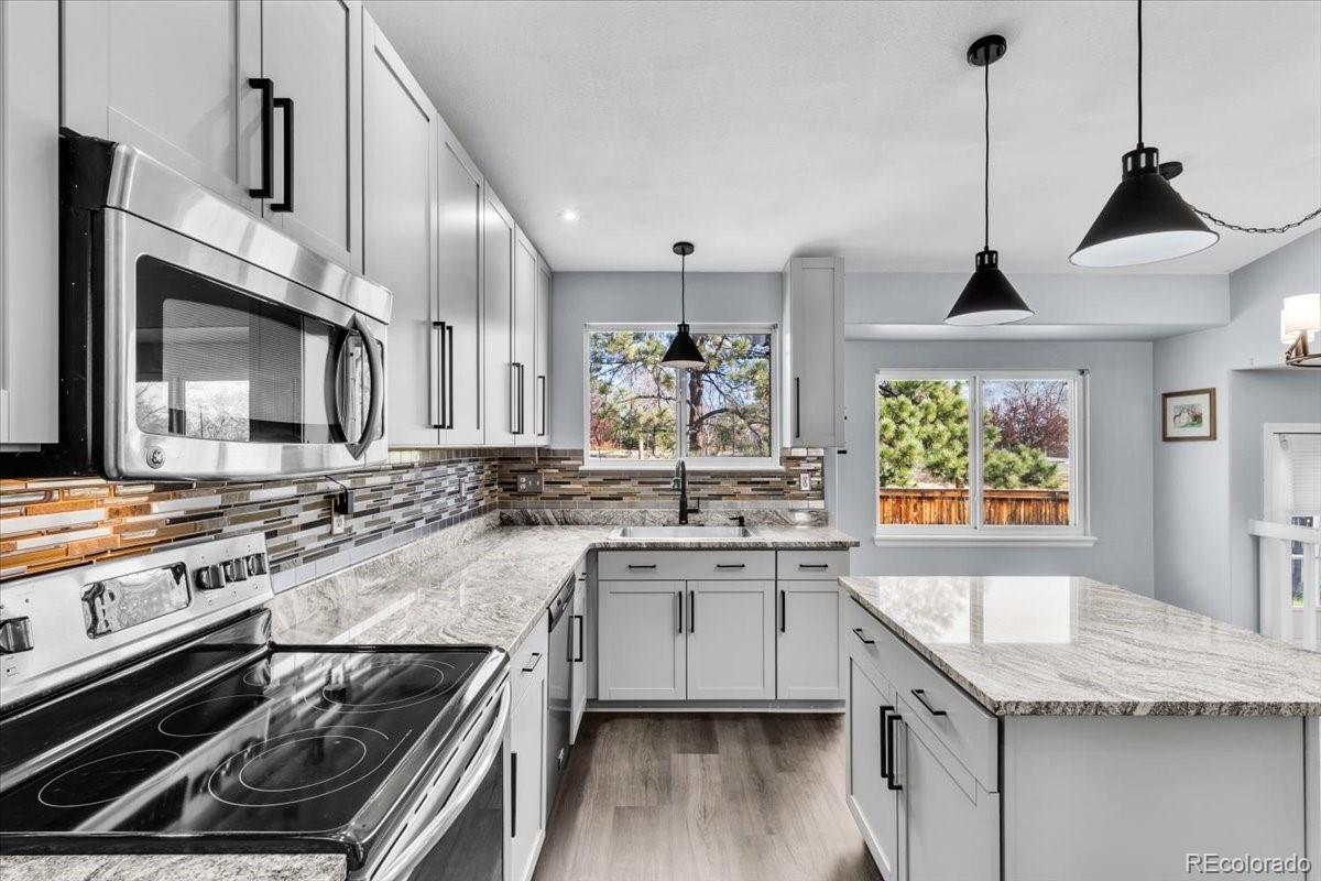 MLS Image #9 for 4527 e andover avenue,castle rock, Colorado