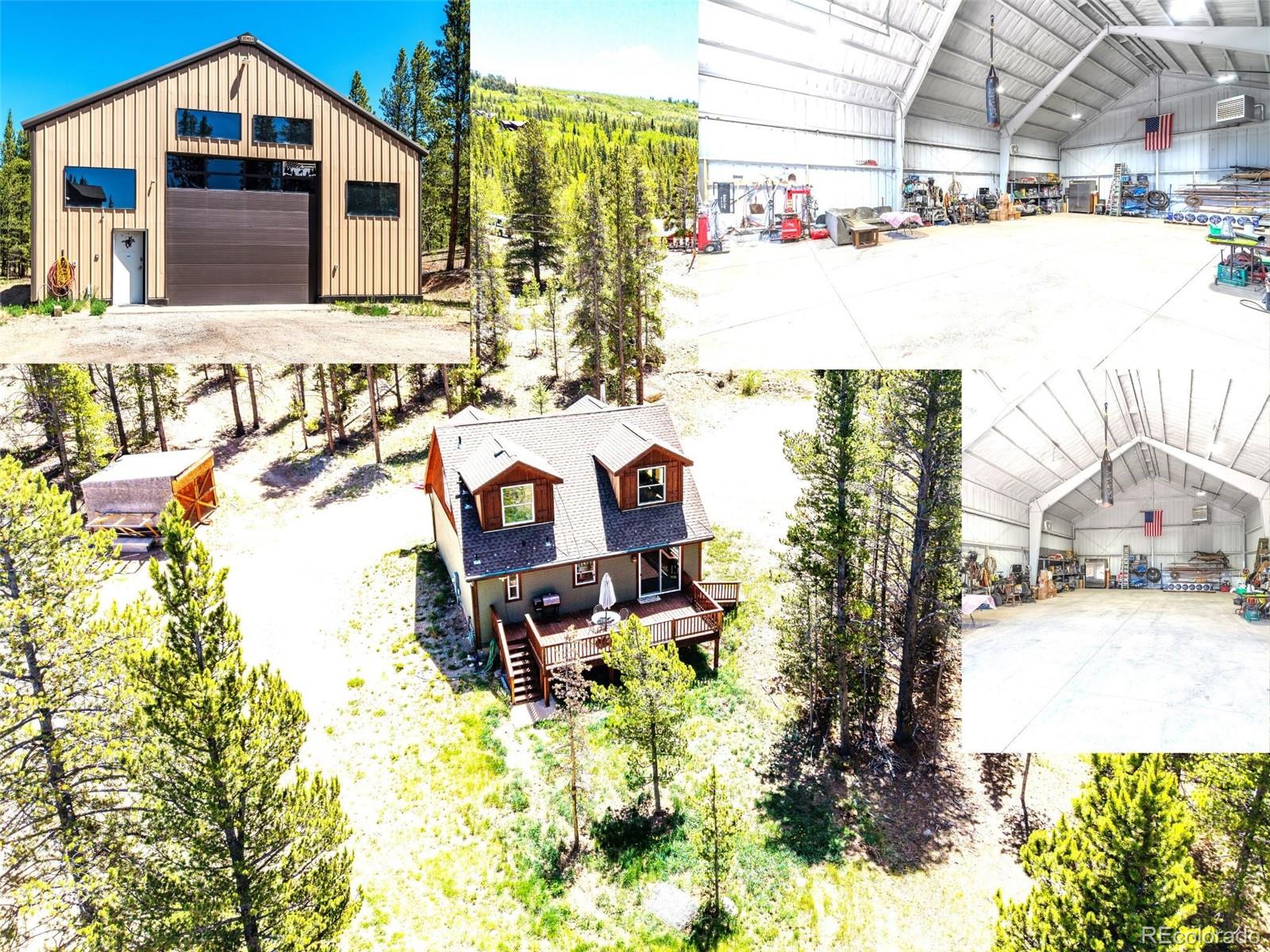 MLS Image #0 for 93  placer drive,alma, Colorado