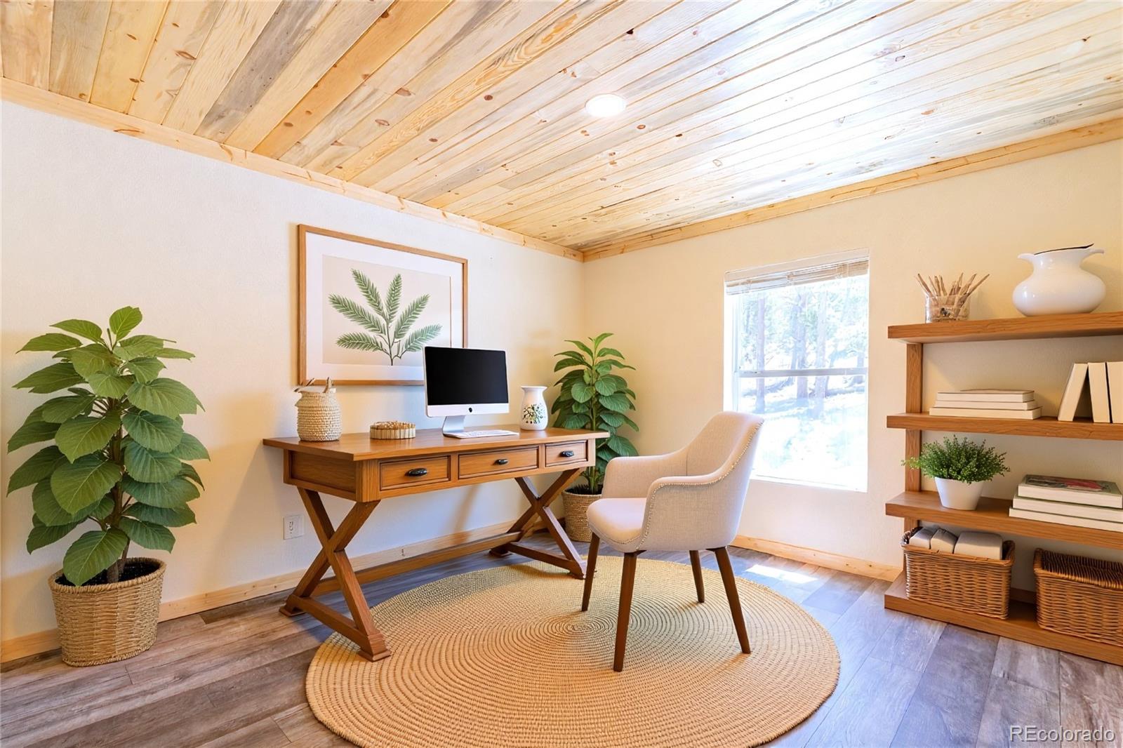 MLS Image #23 for 93  placer drive,alma, Colorado