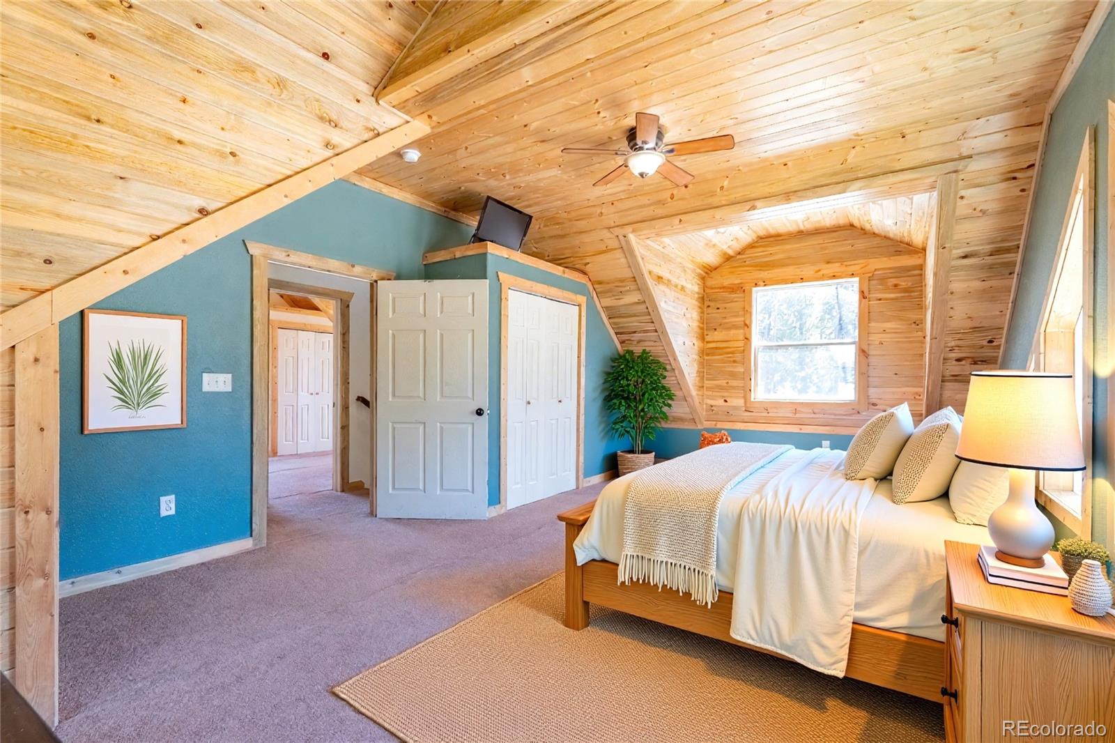 MLS Image #26 for 93  placer drive,alma, Colorado
