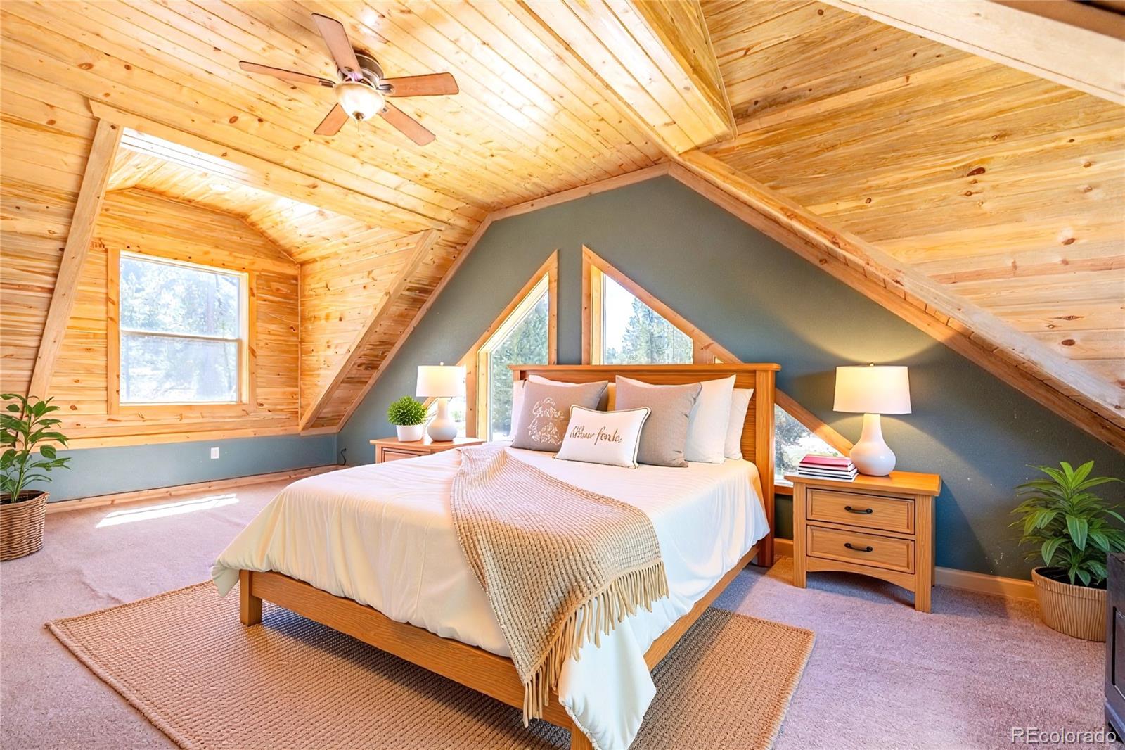 MLS Image #27 for 93  placer drive,alma, Colorado