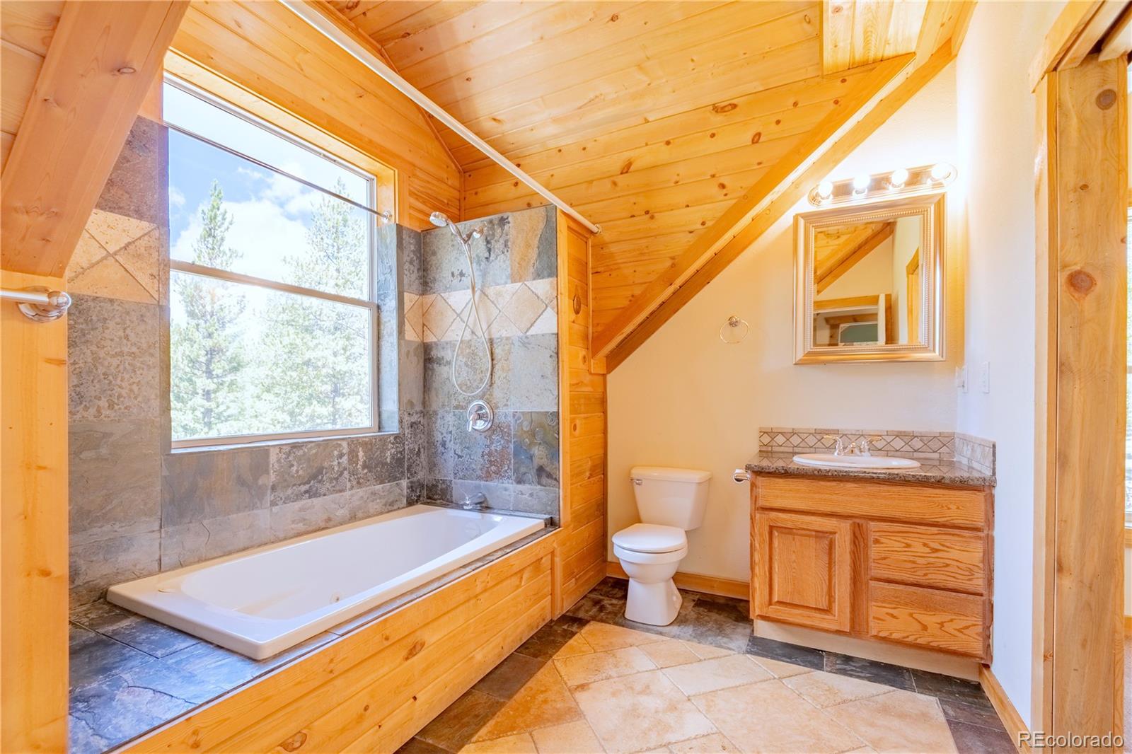 MLS Image #28 for 93  placer drive,alma, Colorado