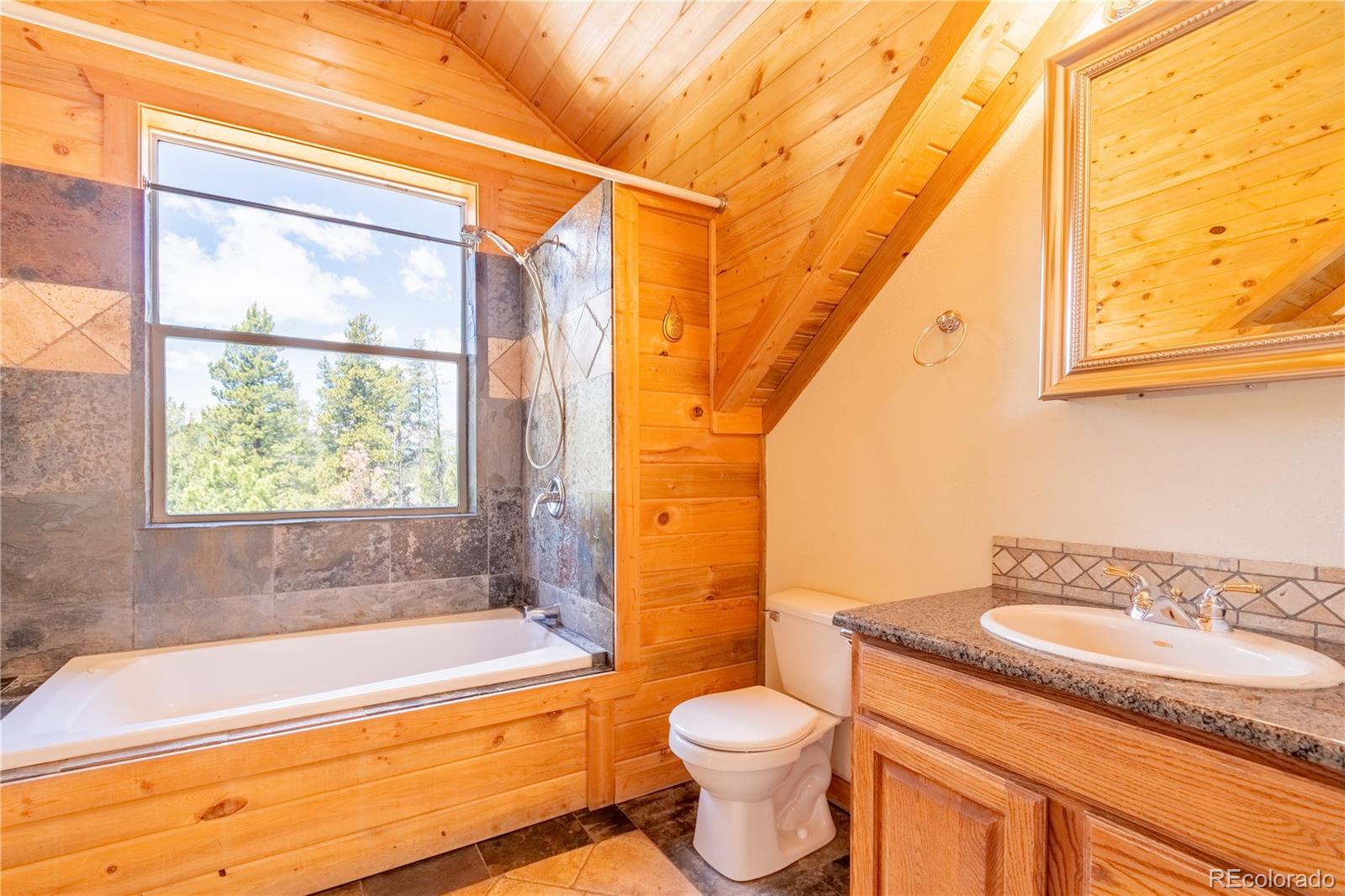 MLS Image #29 for 93  placer drive,alma, Colorado
