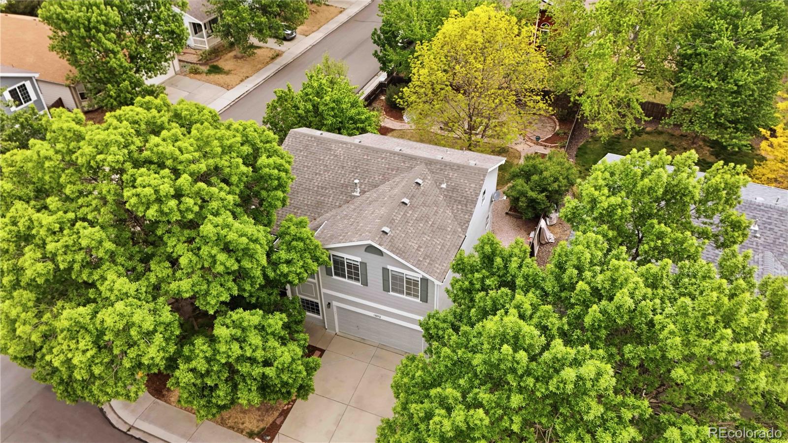 MLS Image #39 for 1593  walker street,erie, Colorado